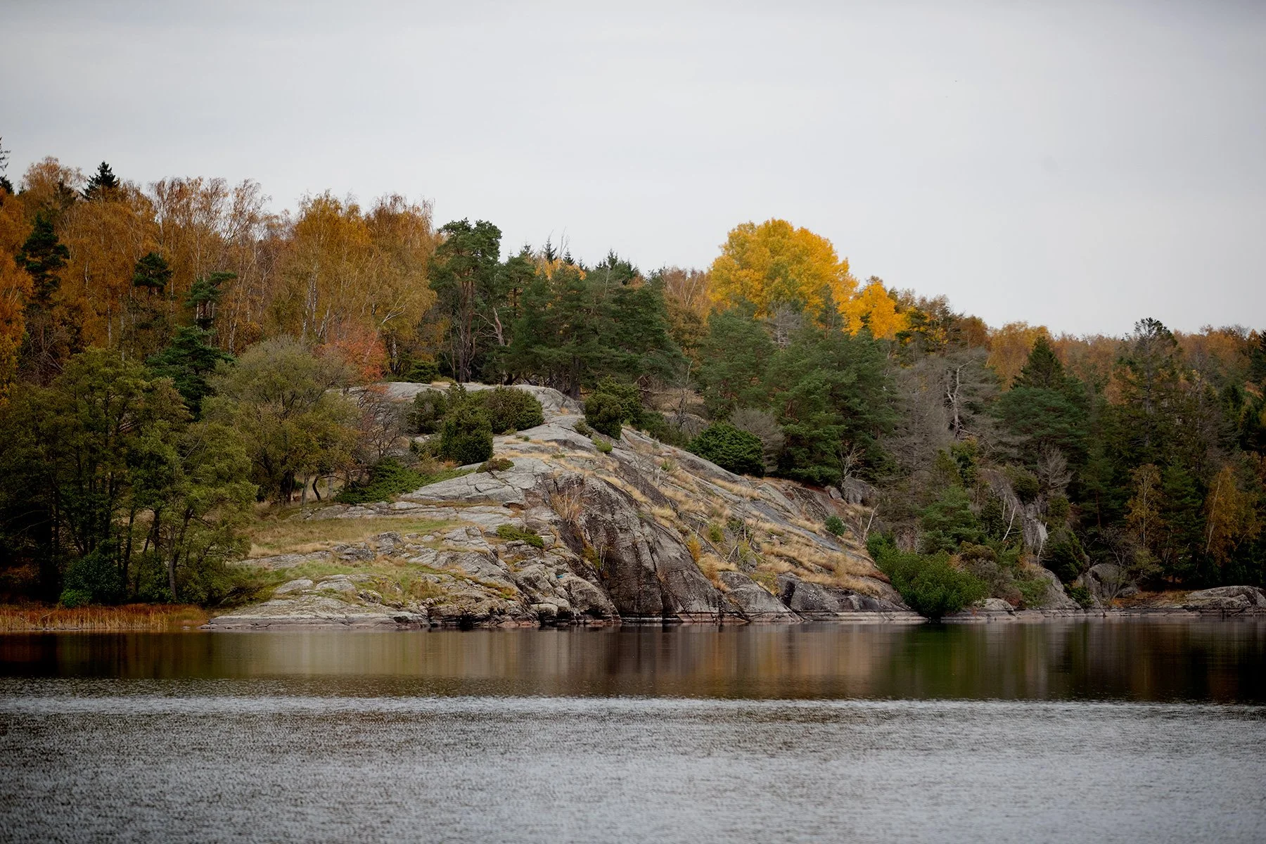 blogg-221017fjarasbracka5.jpg