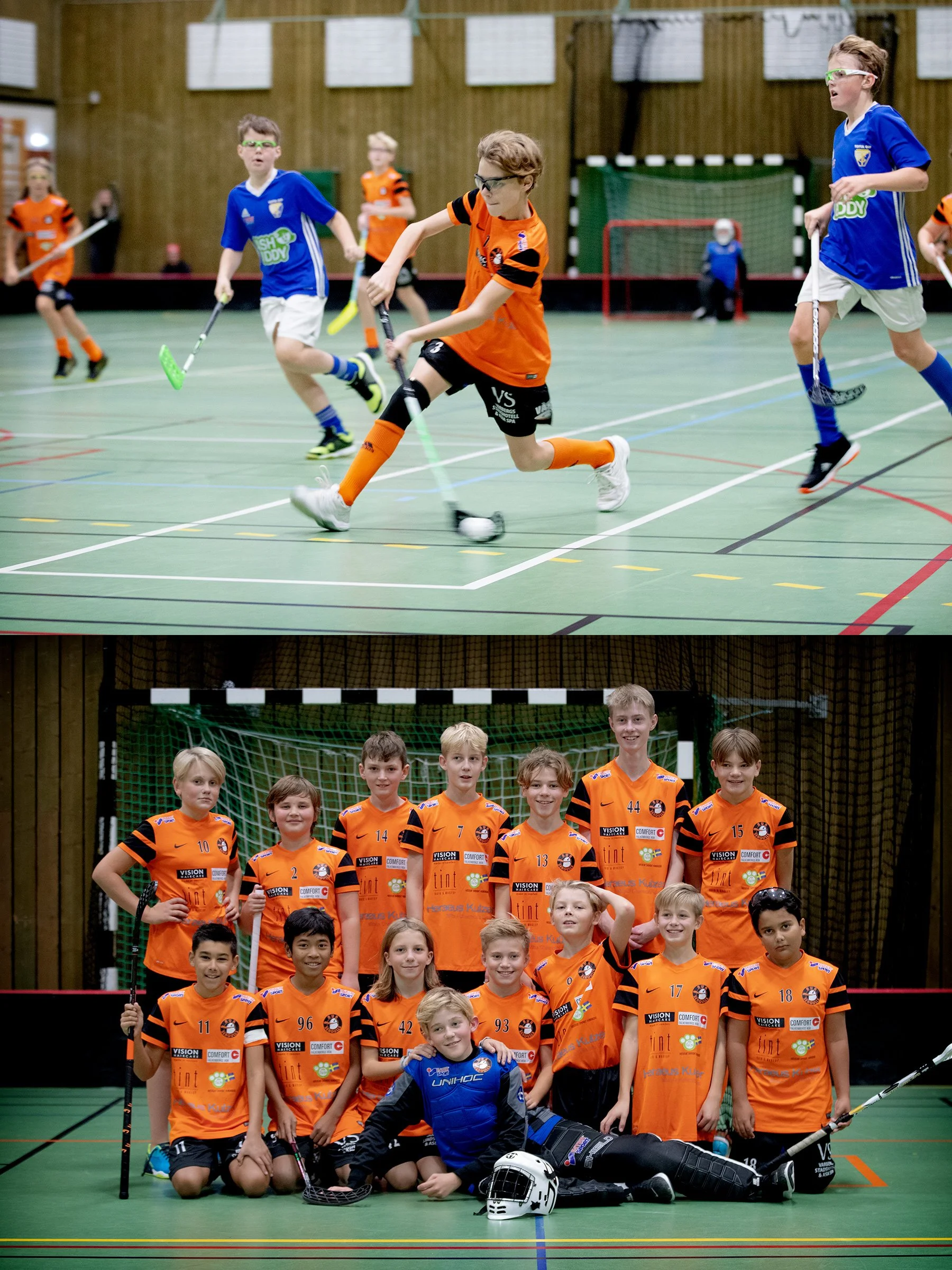 Bua Seagulls mot Tofta Tigers
