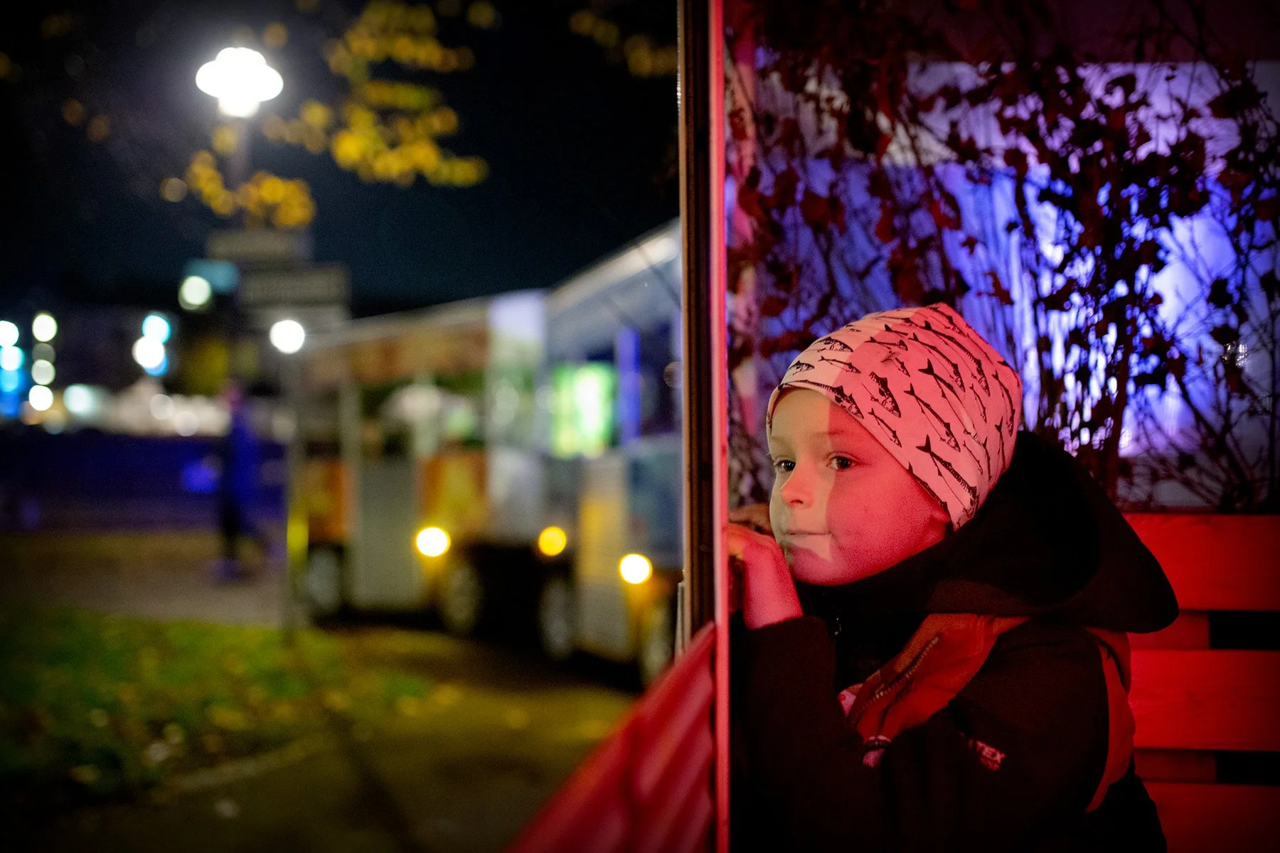 blogg-221029rysochmys19.jpg