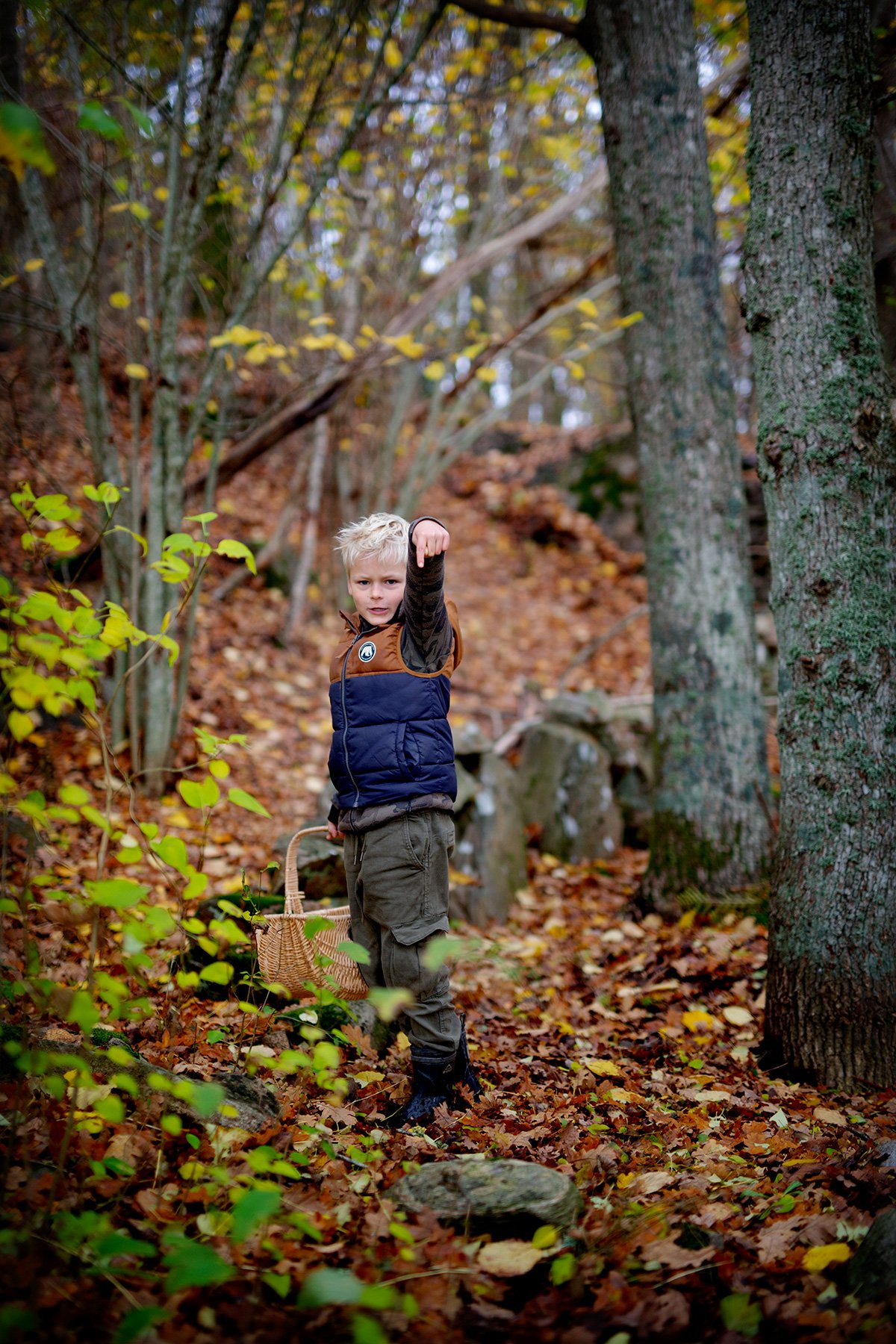 blogg-221030ambjorntorpskogen6.jpg