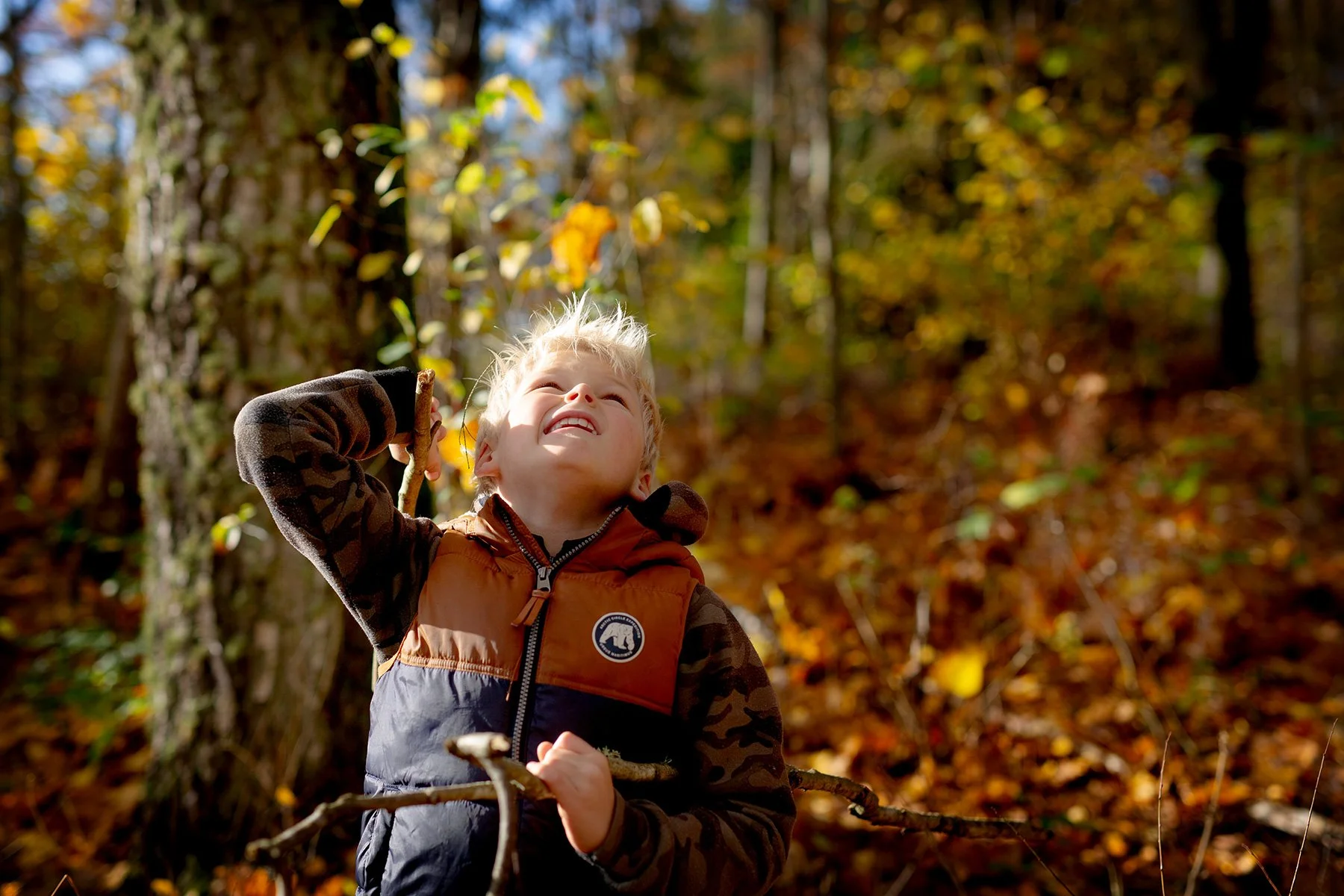 blogg-221030ambjorntorpskogen14.jpg