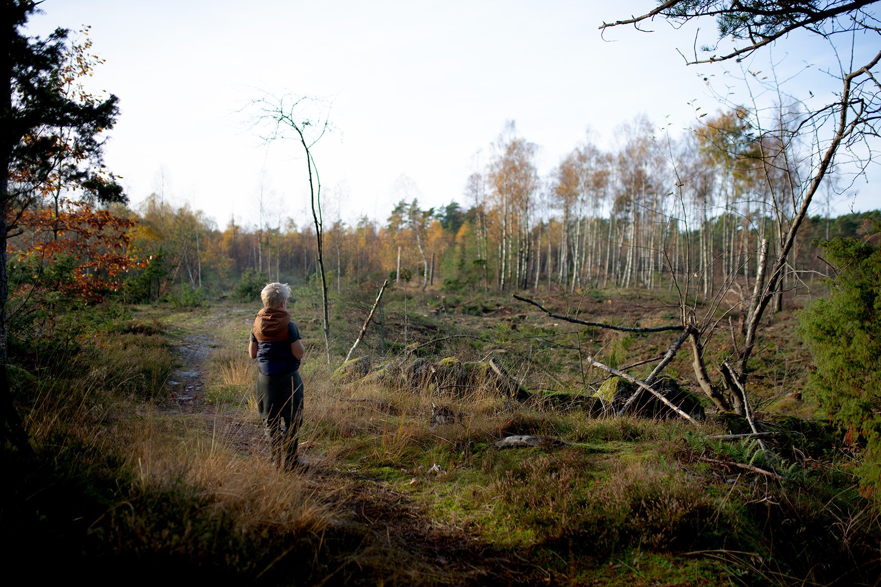 blogg-221031hemmaskogenbertil2.jpg