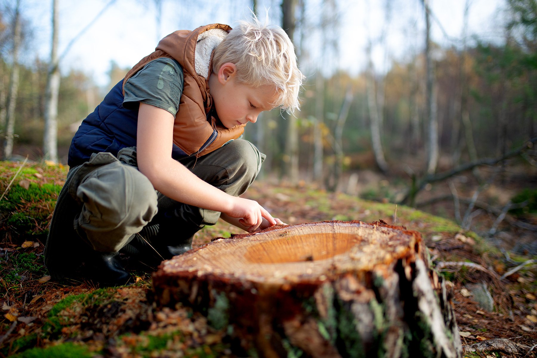 blogg-221031hemmaskogenbertil3.jpg