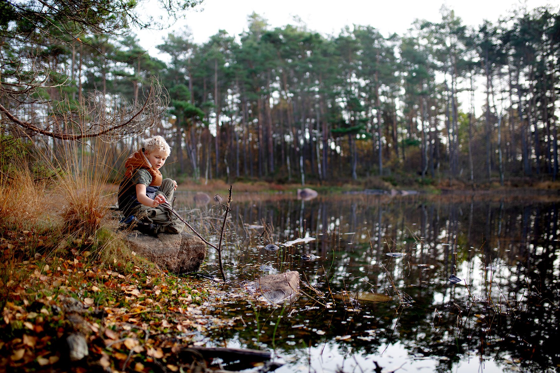 blogg-221031hemmaskogenbertil7alt2.jpg