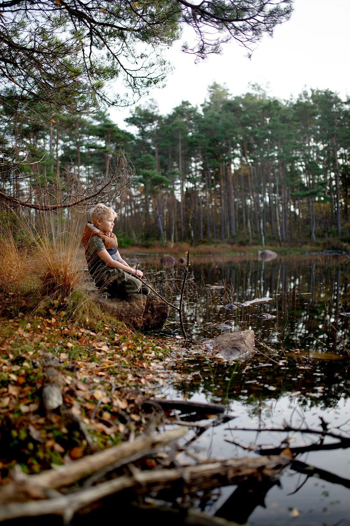 blogg-221031hemmaskogenbertil7alt3.jpg