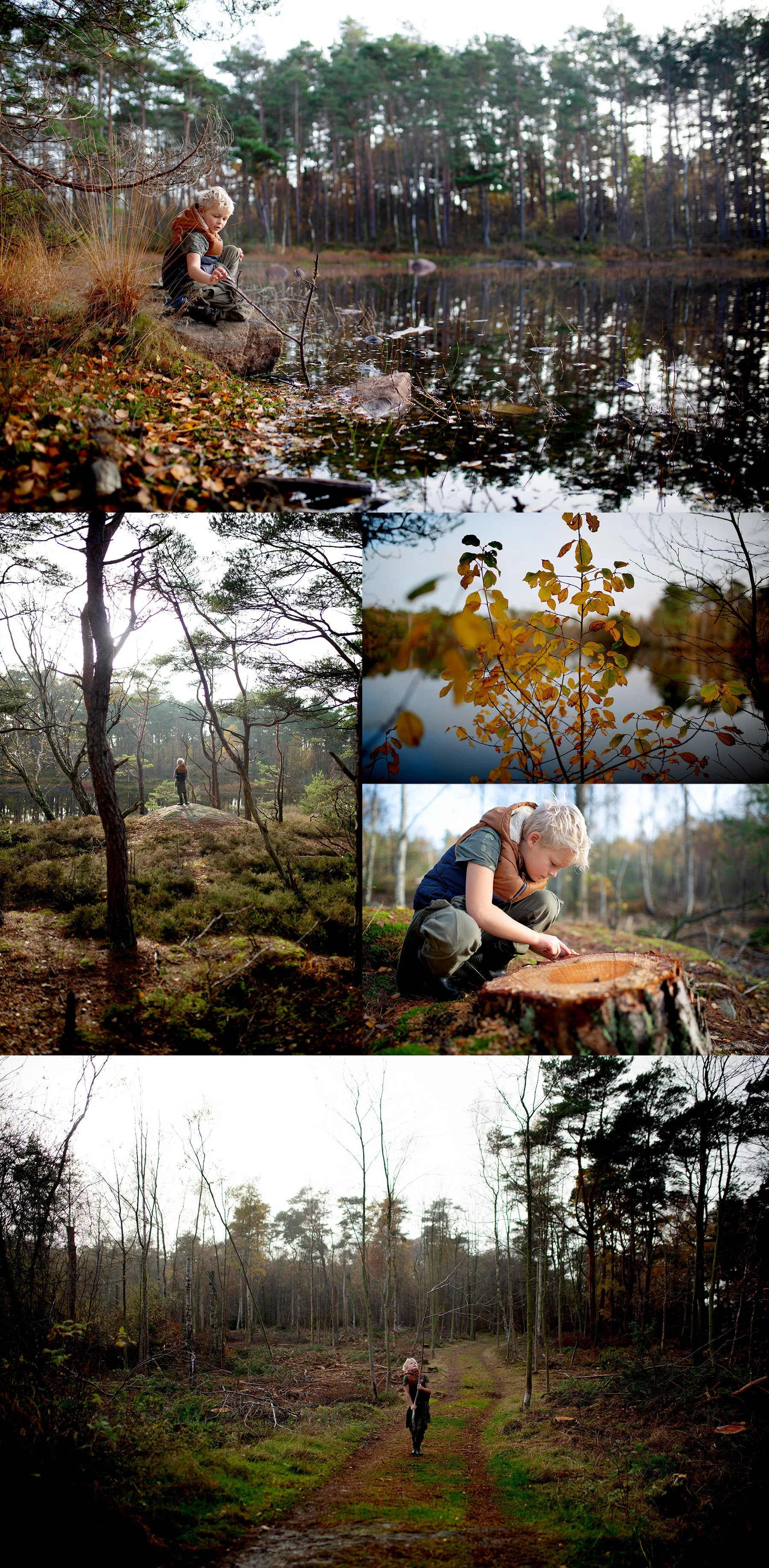 Våran skog
