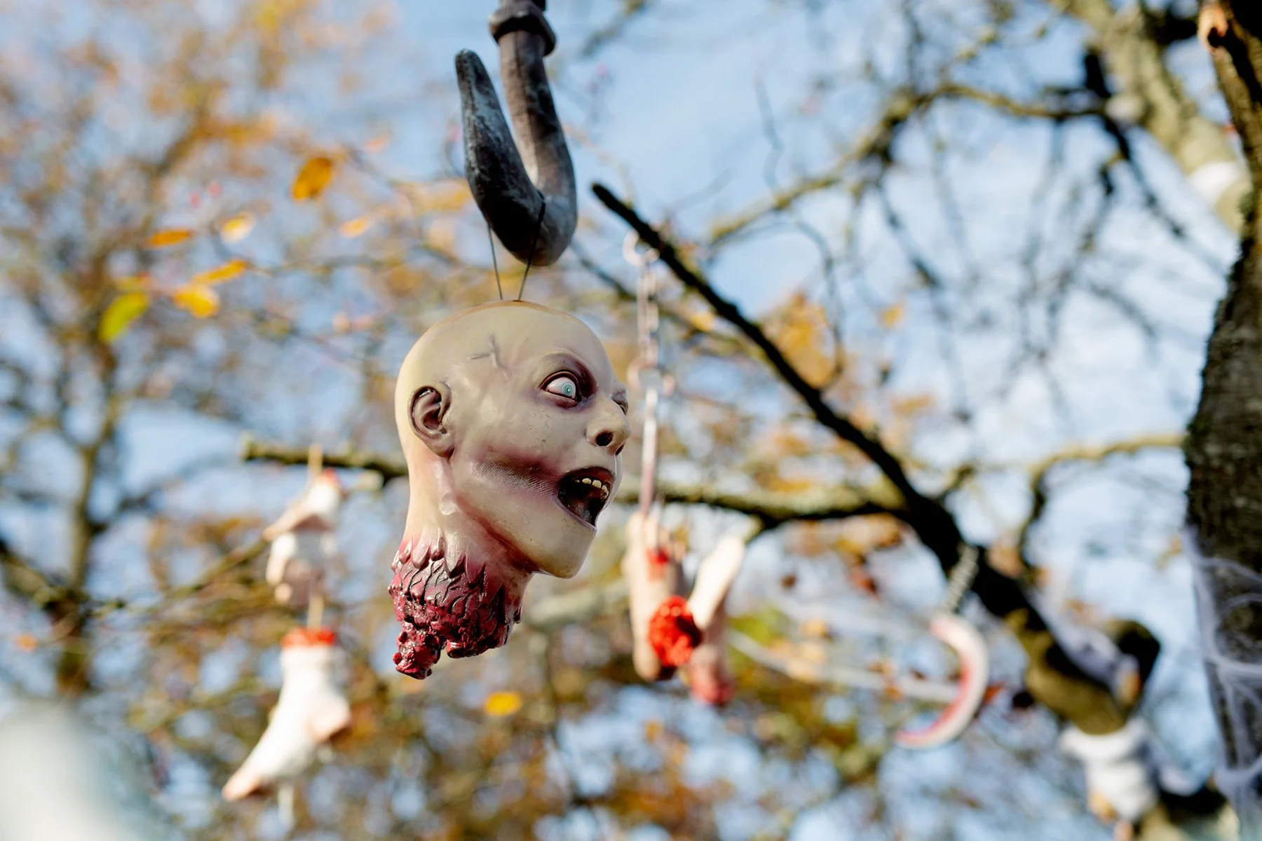 blogg-221103dragso7.jpg