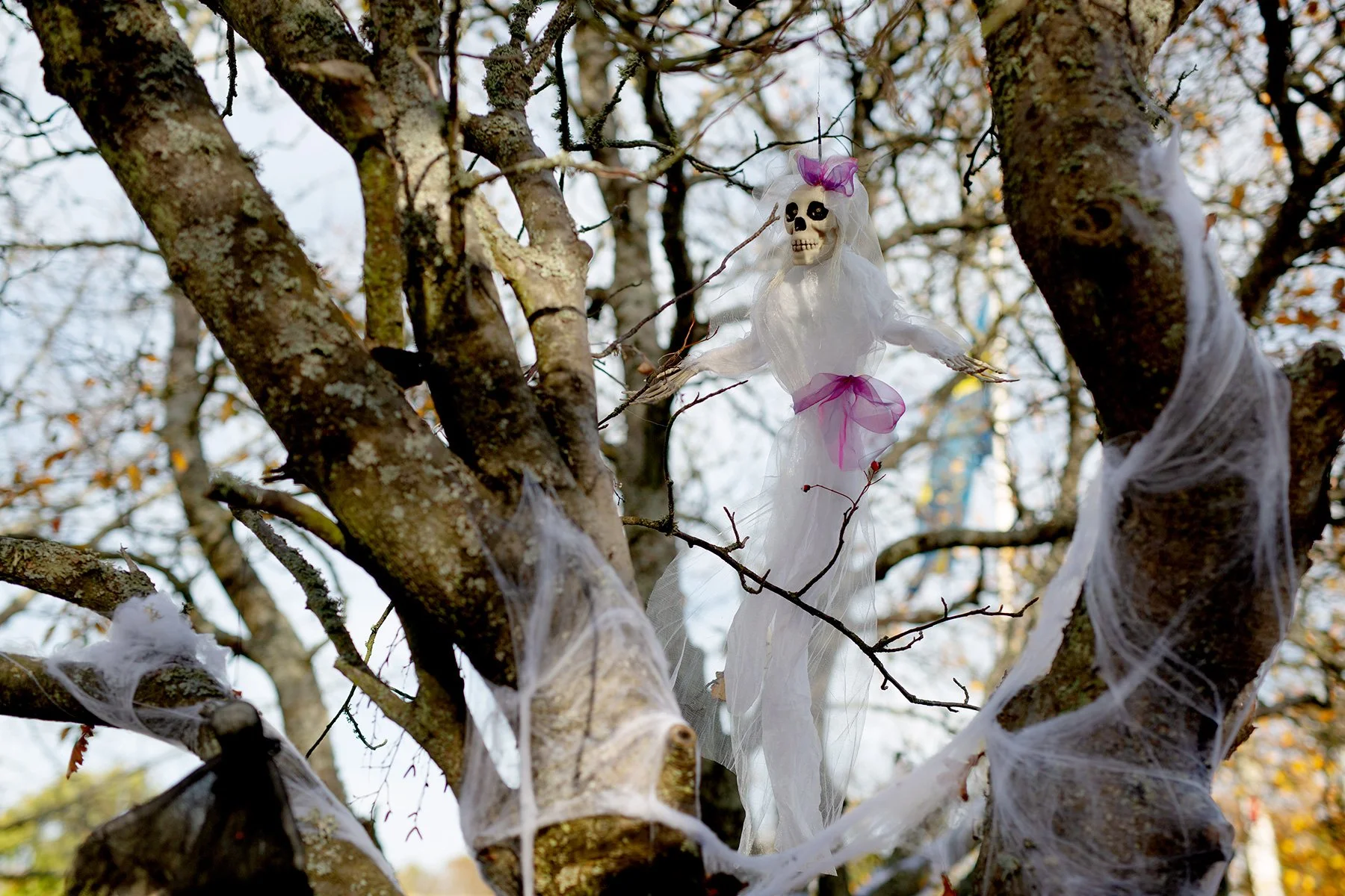 blogg-221103dragso13.jpg
