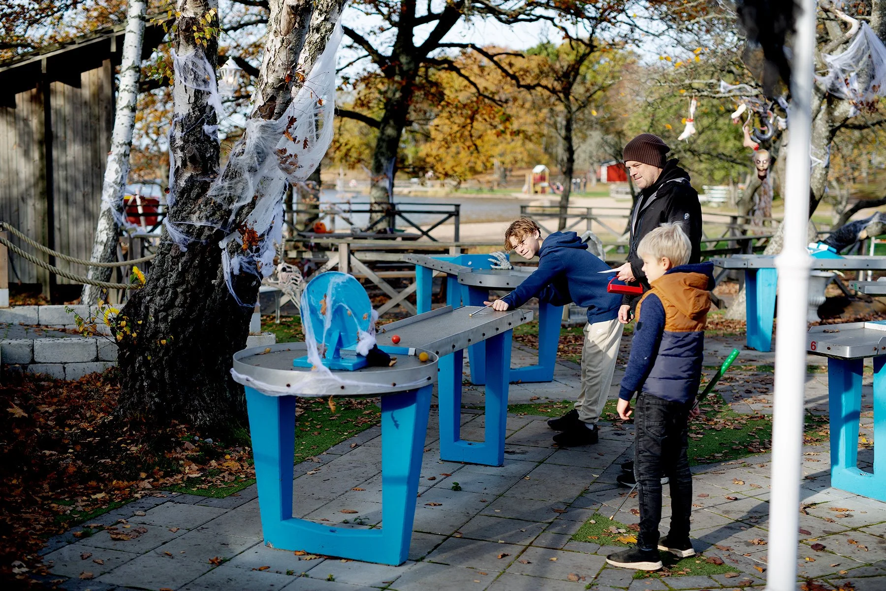 blogg-221103dragso14.jpg