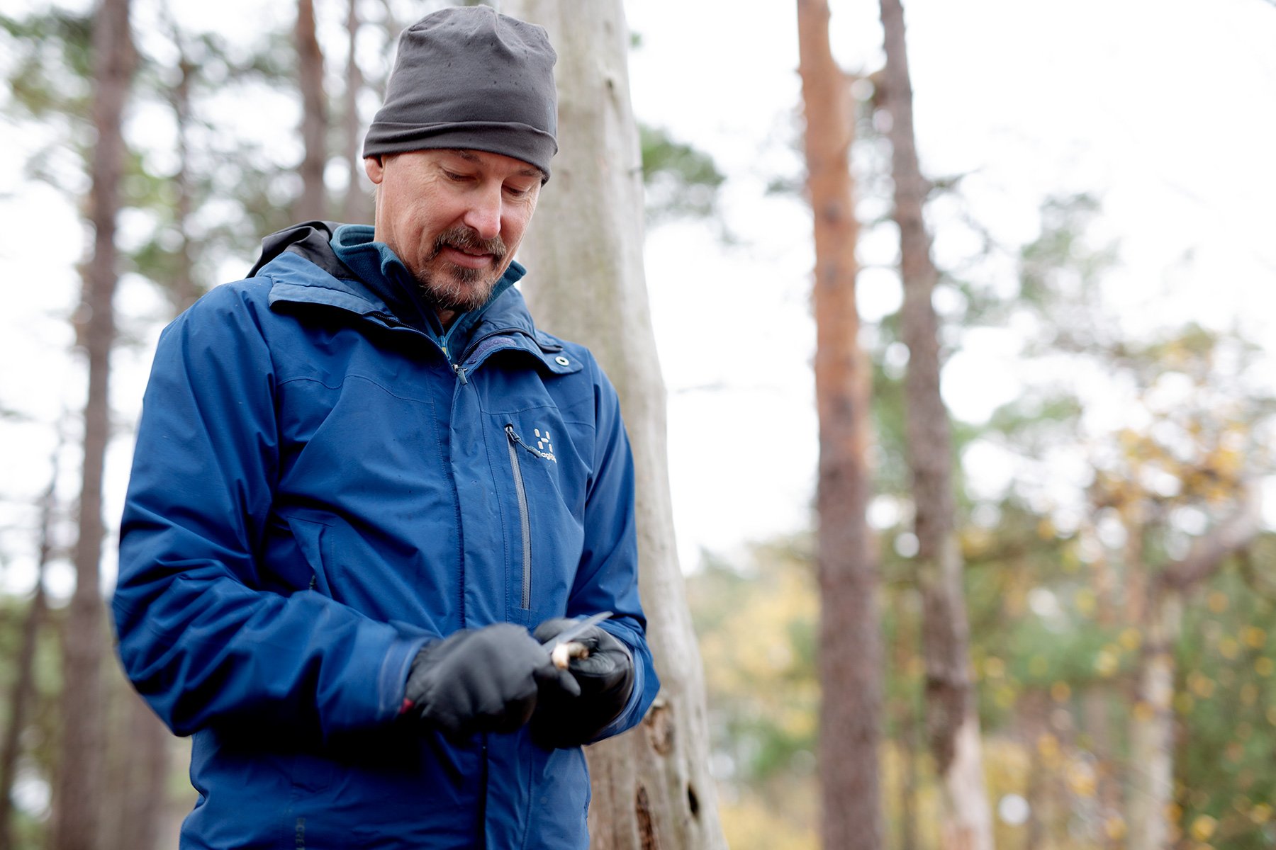 blogg-221104skogen2.jpg