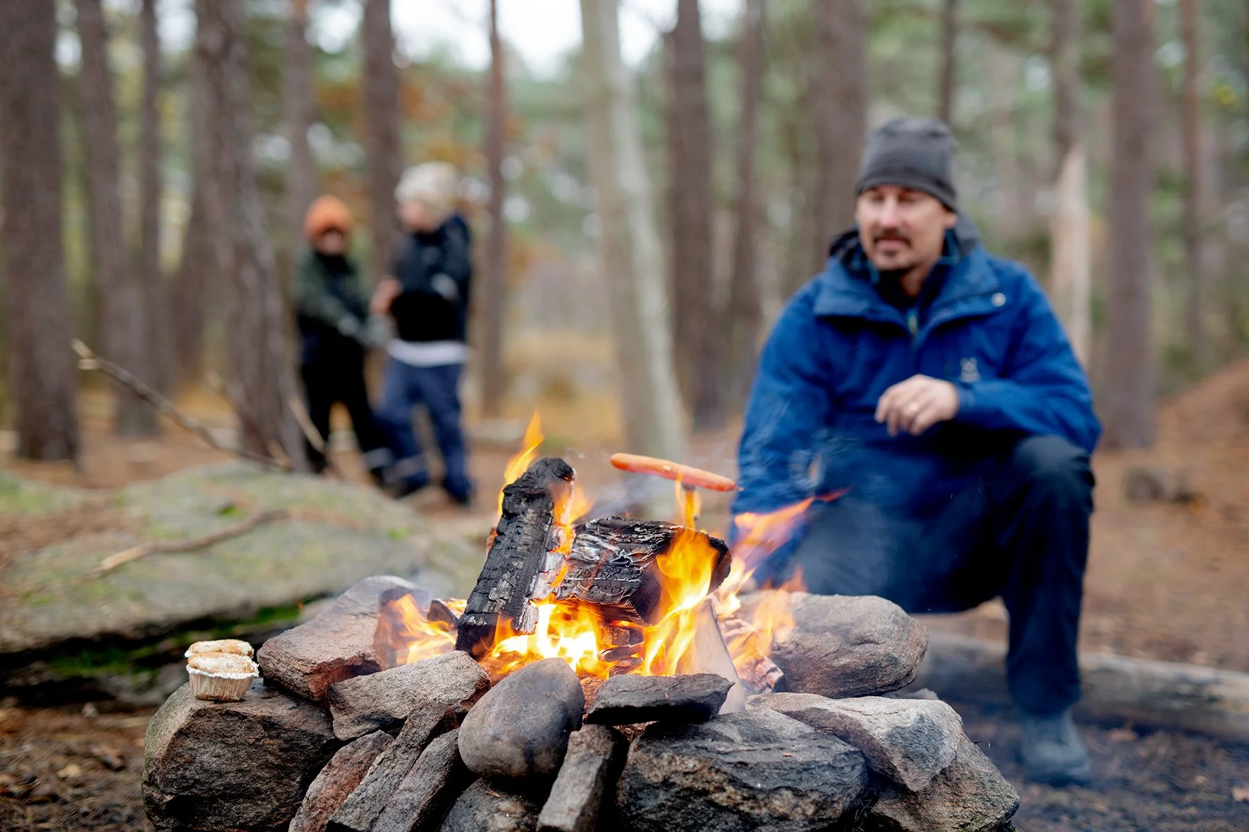 blogg-221104skogen6.jpg