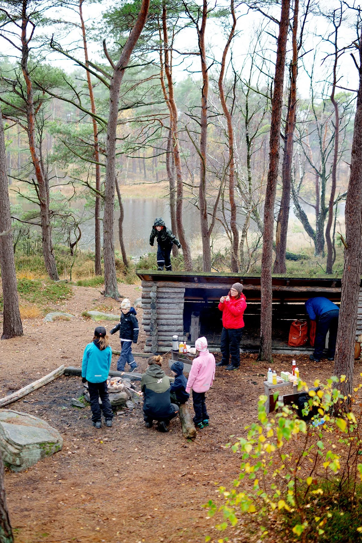 blogg-221104skogen8.jpg