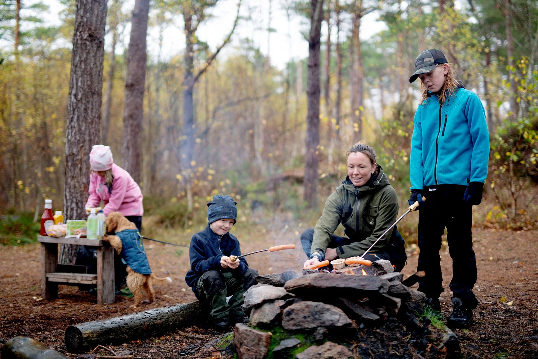 blogg-221104skogen10.jpg