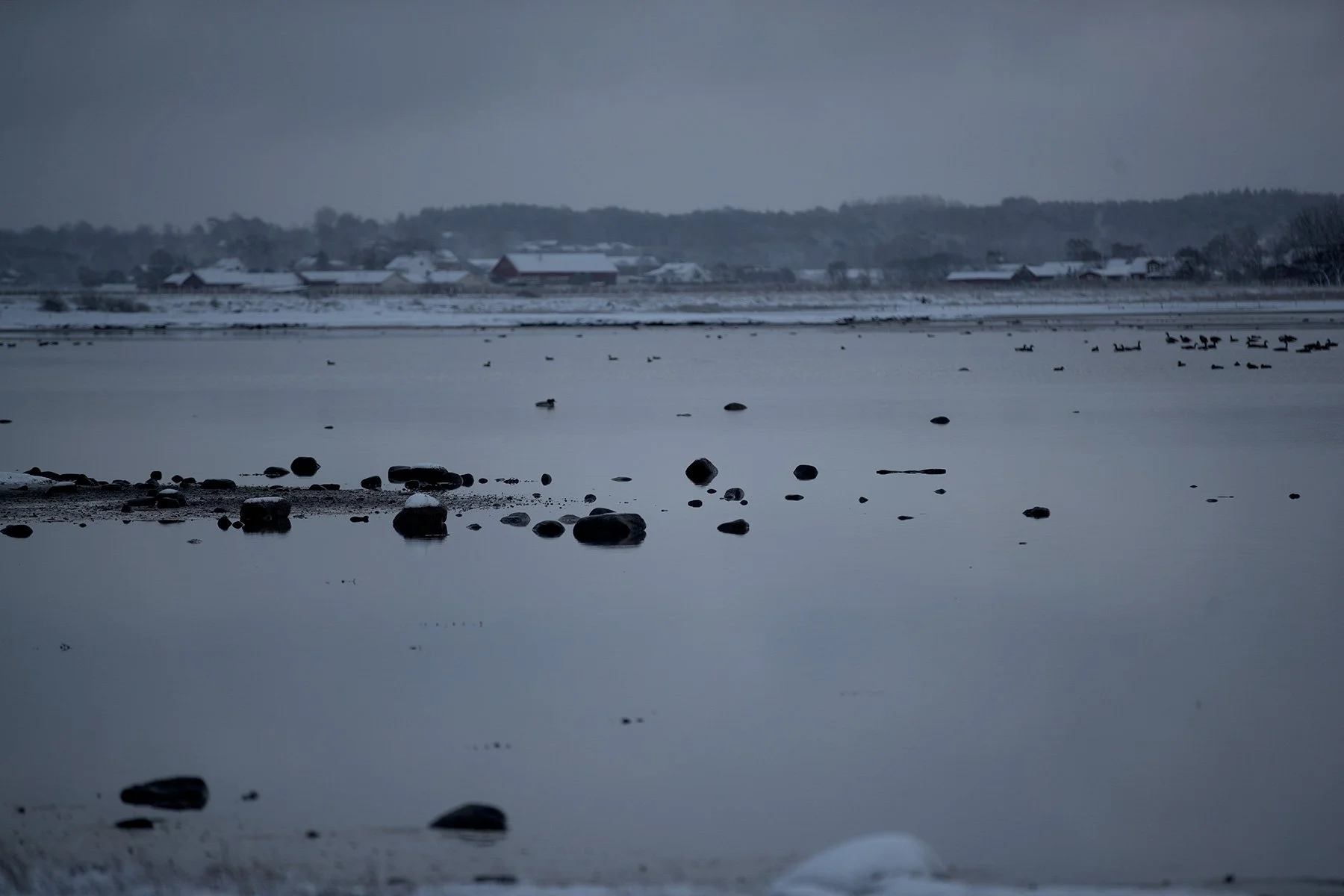 blogg-221121snomorgonvideberg8.jpg