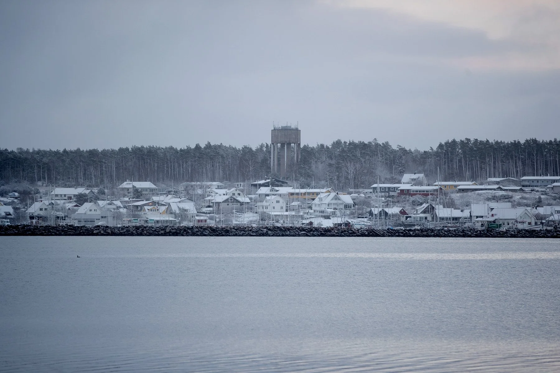 blogg-221121snomorgonvideberg10.jpg