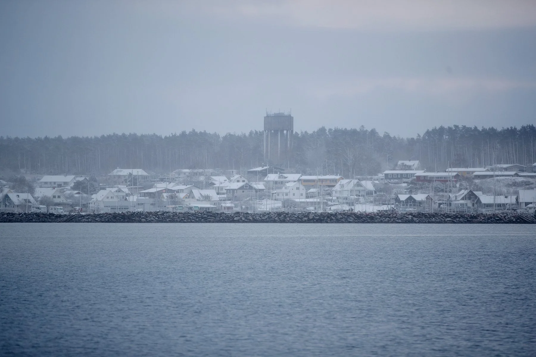 blogg-221121snomorgonvideberg11.jpg