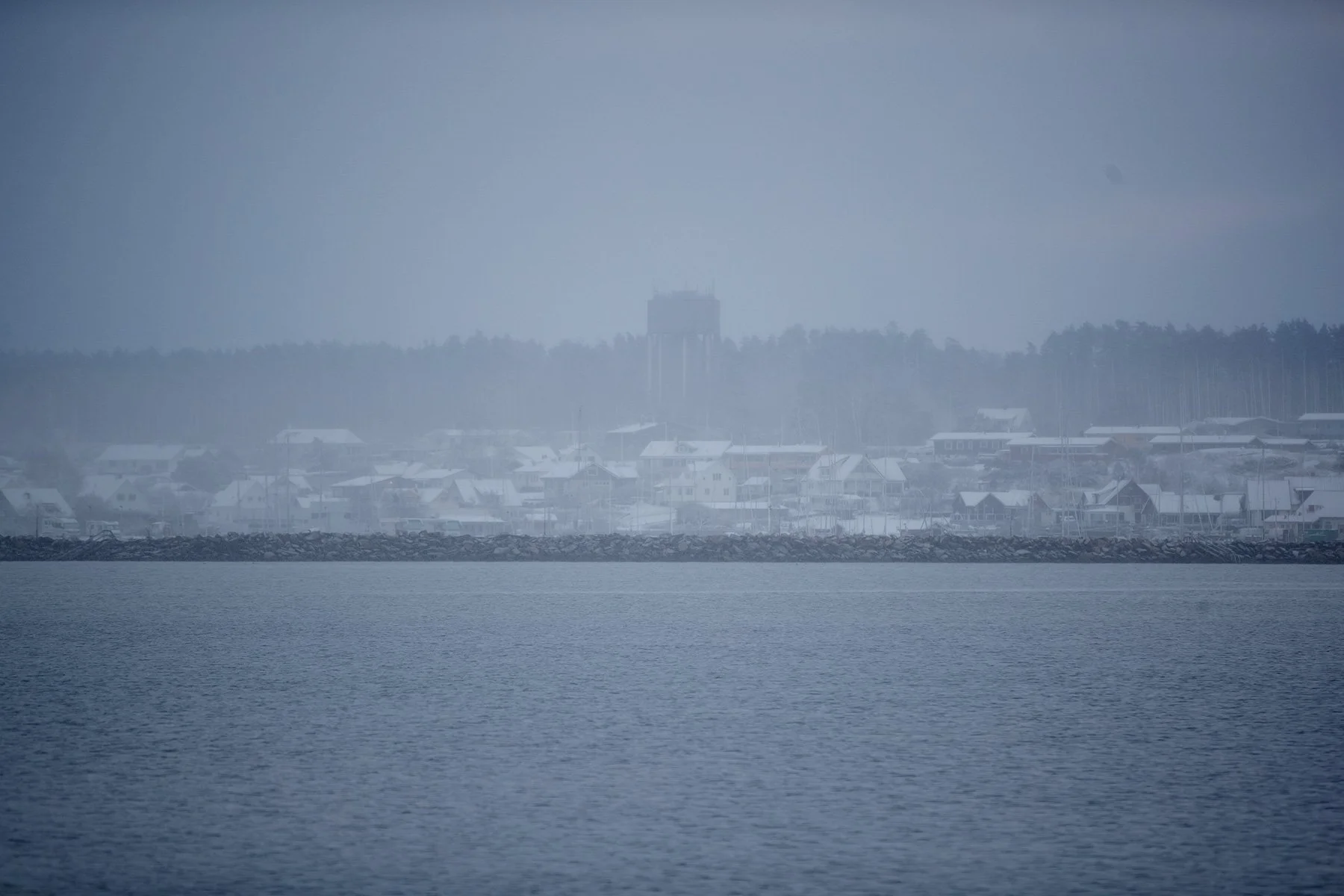 blogg-221121snomorgonvideberg12.jpg