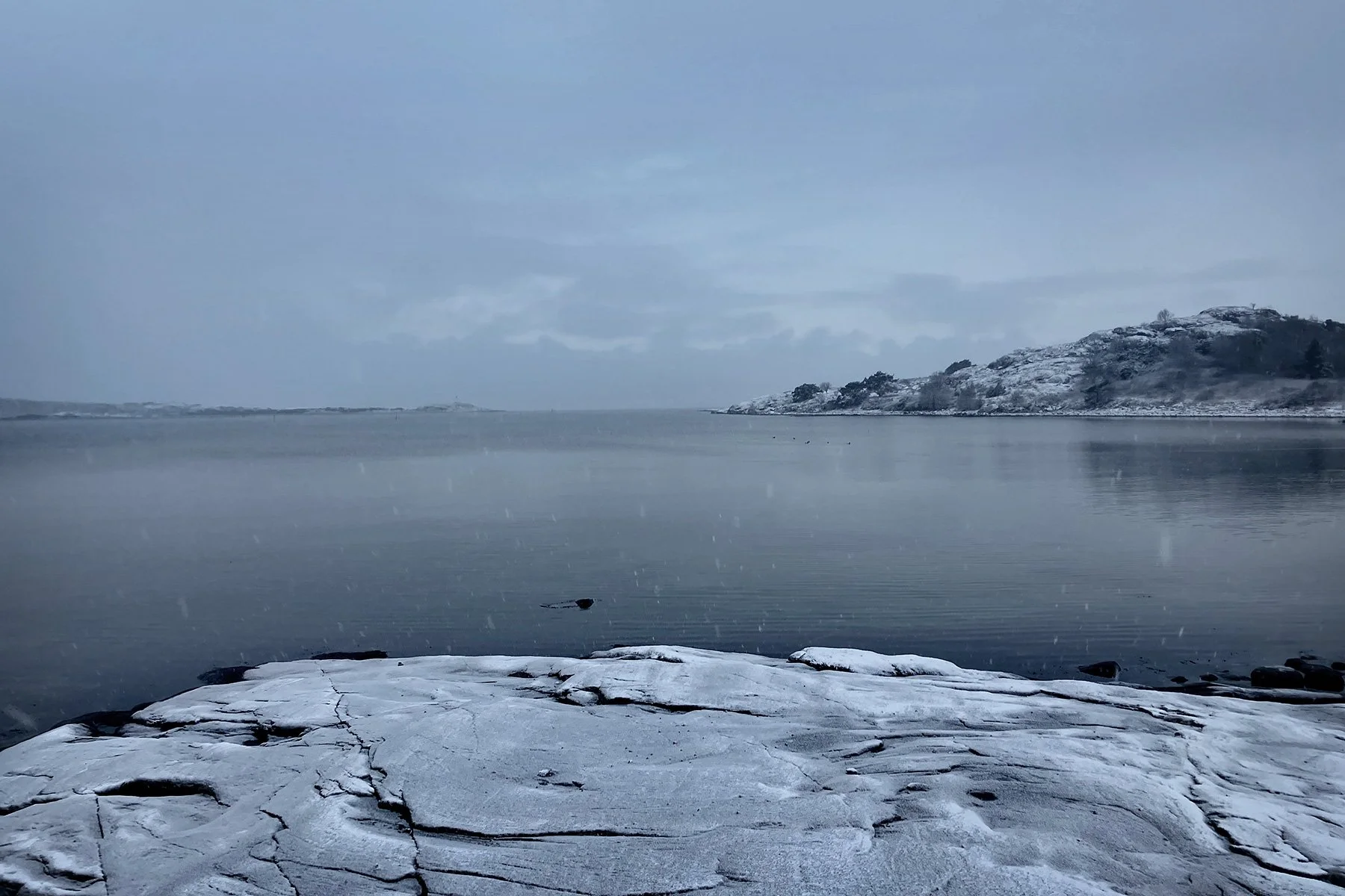 blogg-221121snomorgonvideberg21.jpg