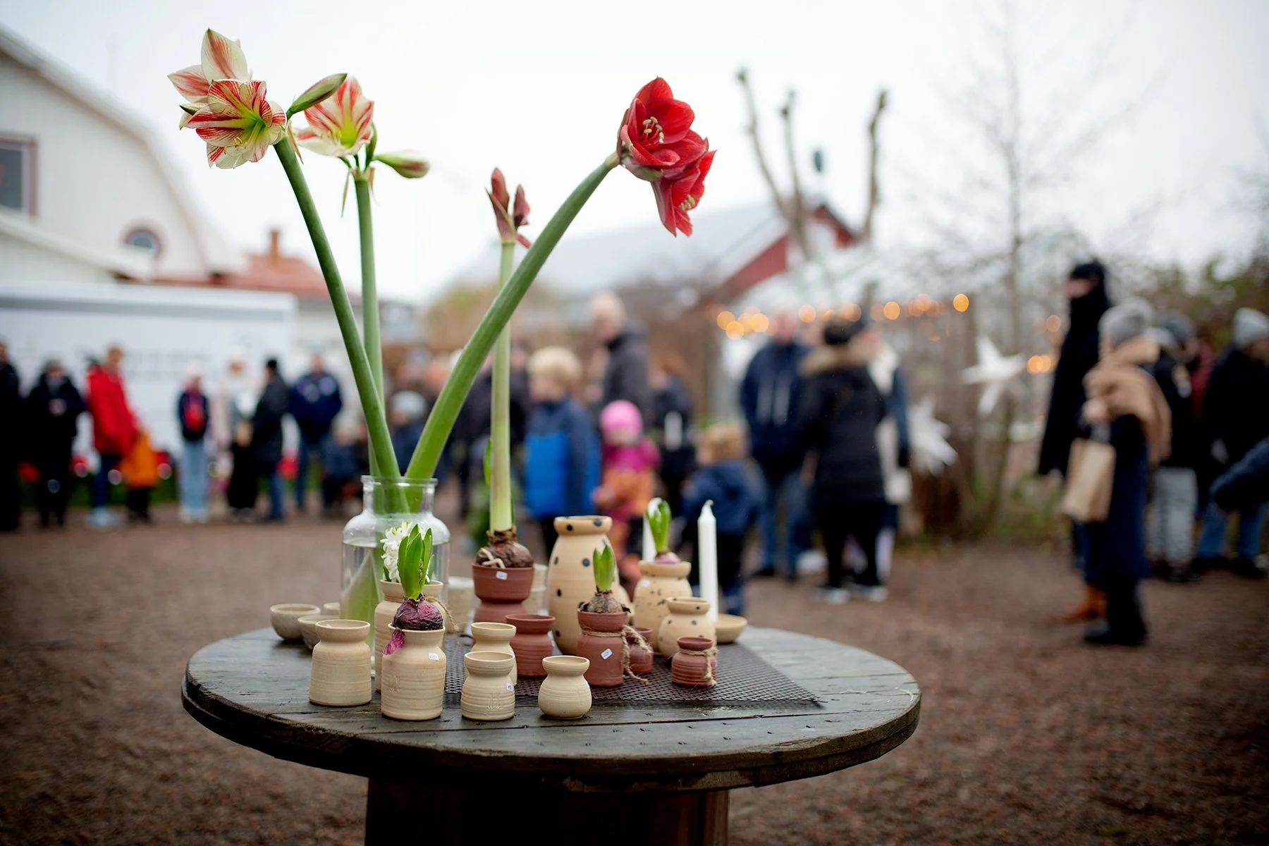 blogg-221127julmarknaddag2-10.jpg