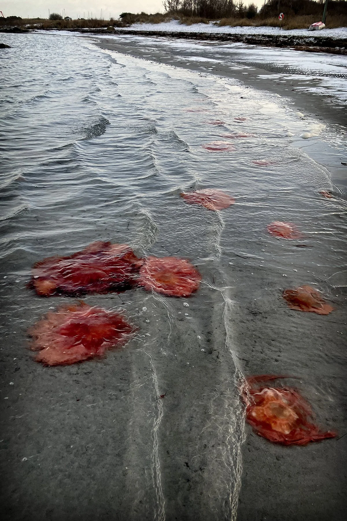 blogg-221207fyrenstranden25.jpg