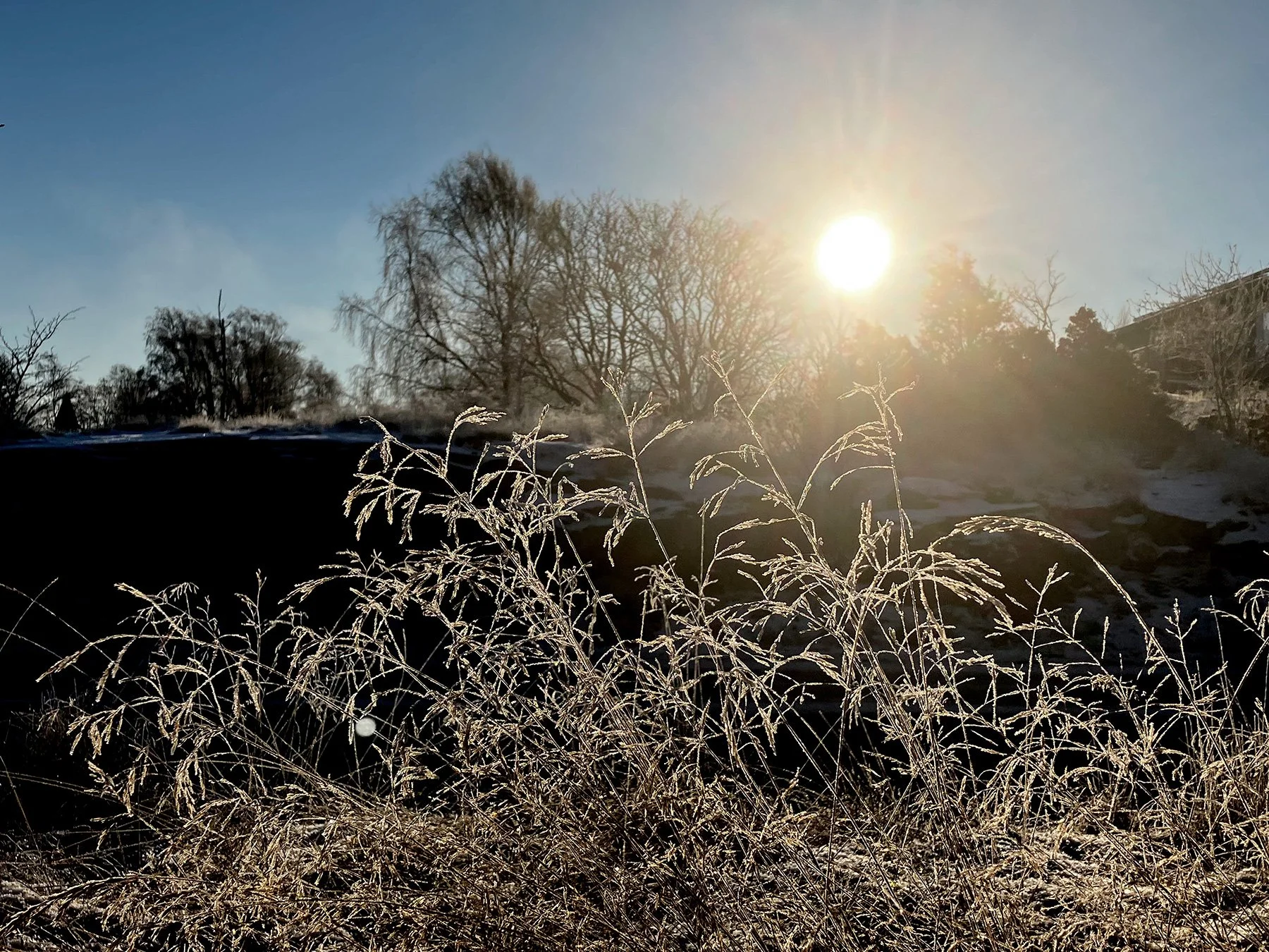 blogg-221211poangpromenad7.jpg