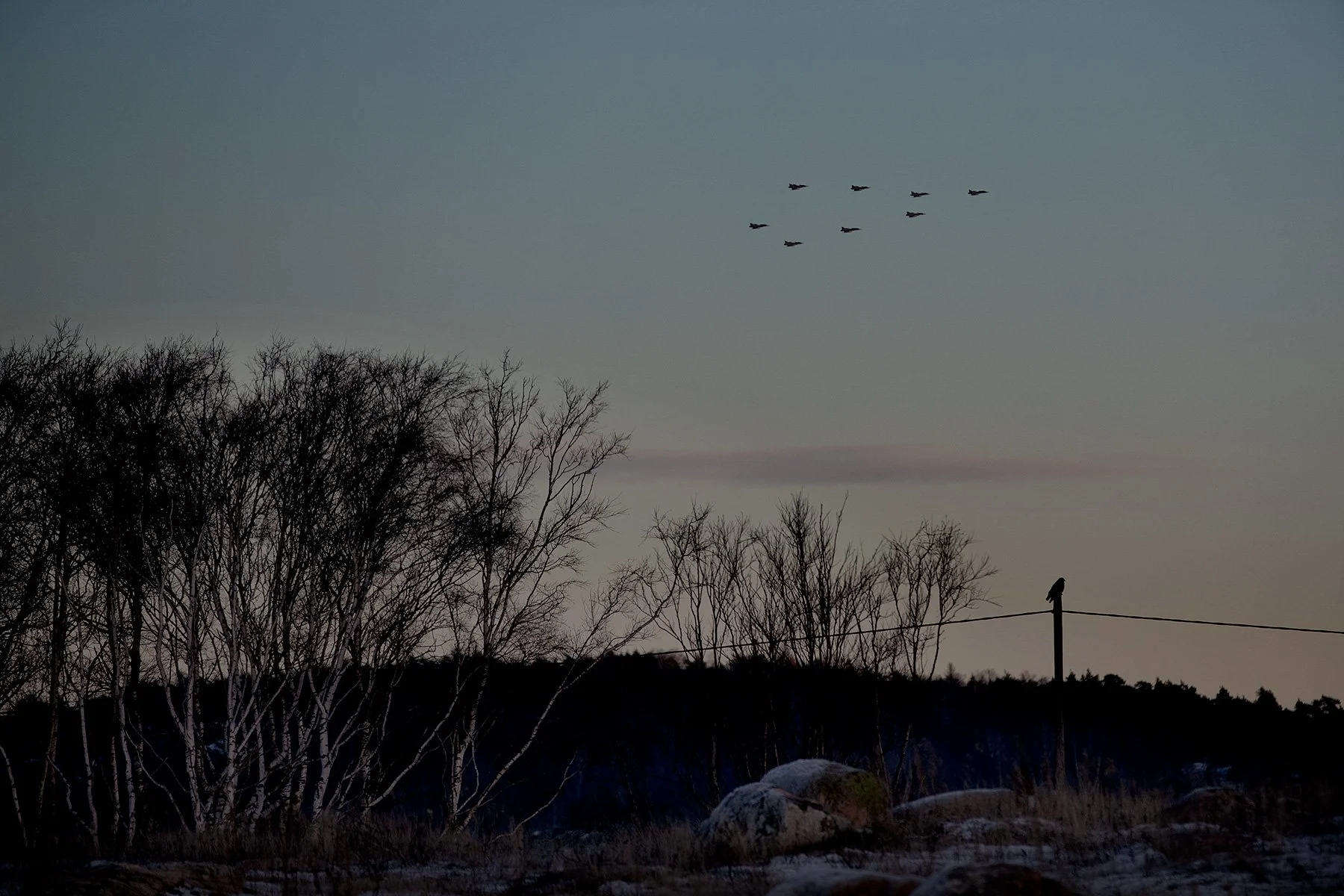 blogg-221213jasjulgranbale8.jpg