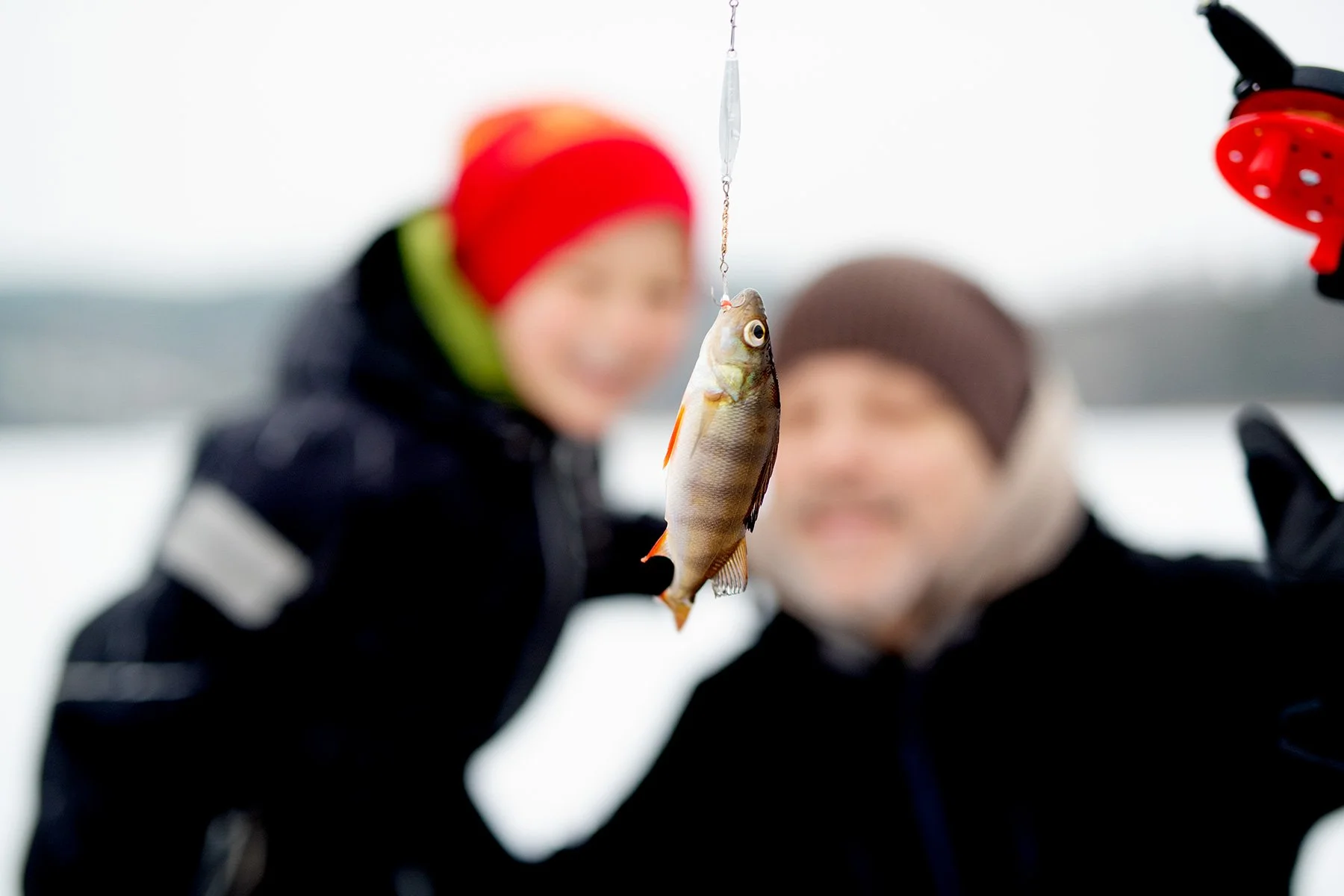 blogg-221217isfiskederomesjon23.jpg