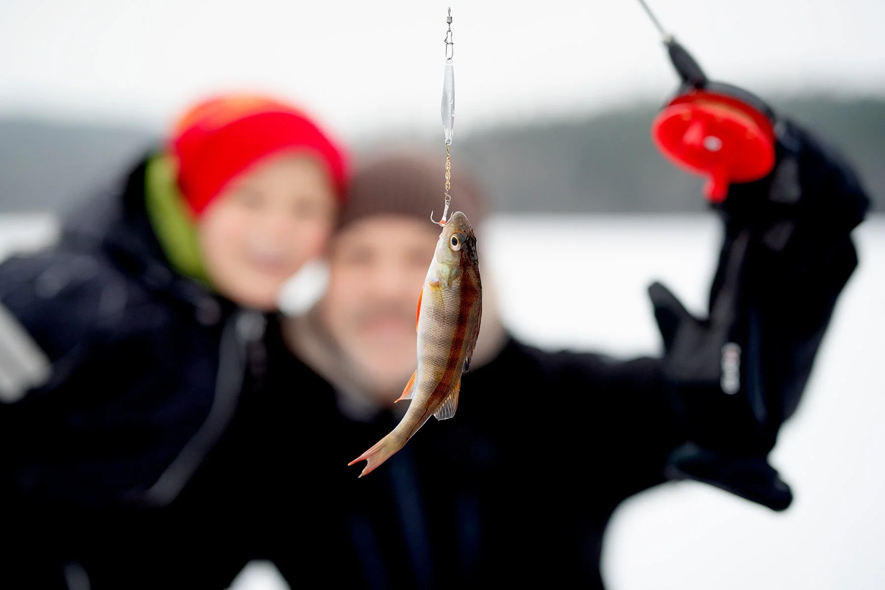 blogg-221217isfiskederomesjon25.jpg