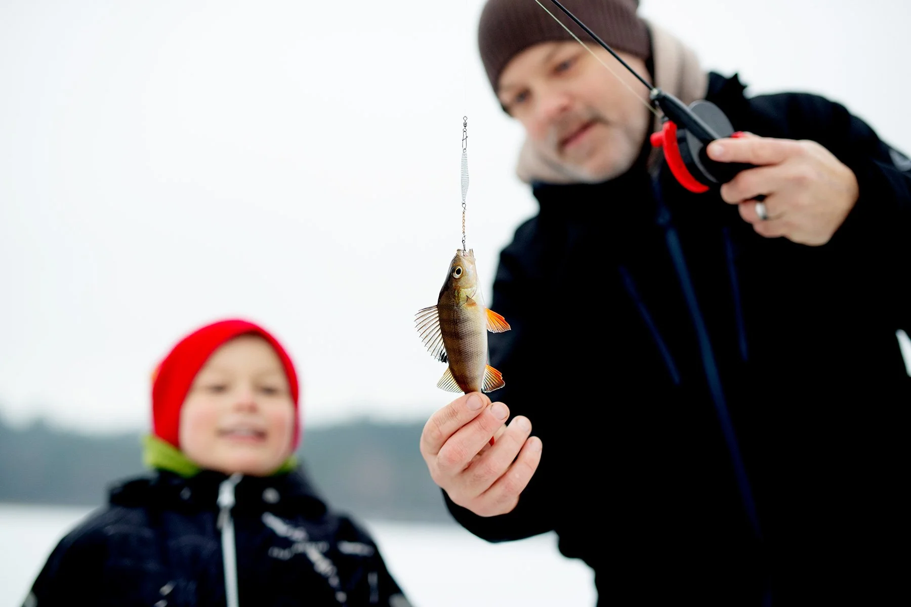 blogg-221217isfiskederomesjon29.jpg