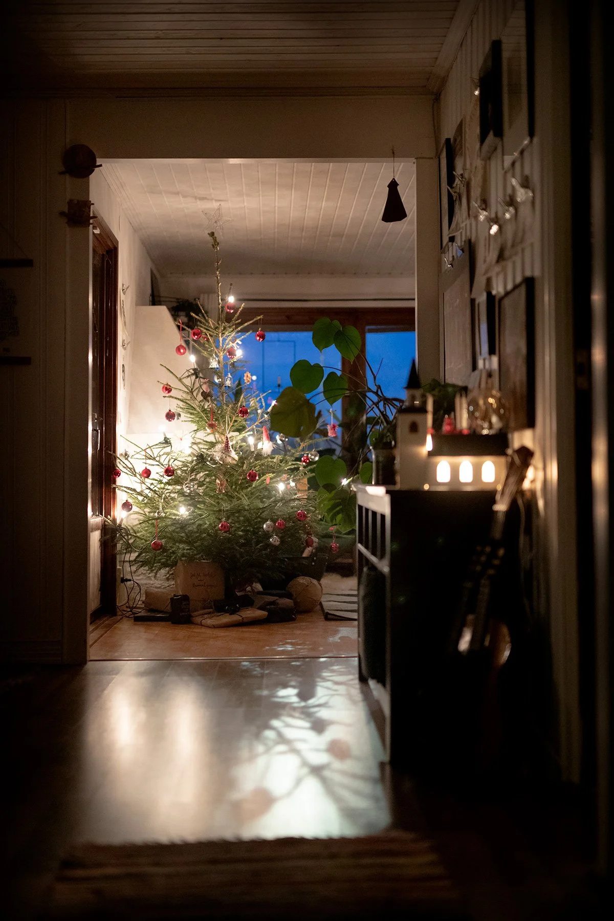 blogg-221221julgransmorgon5.jpg
