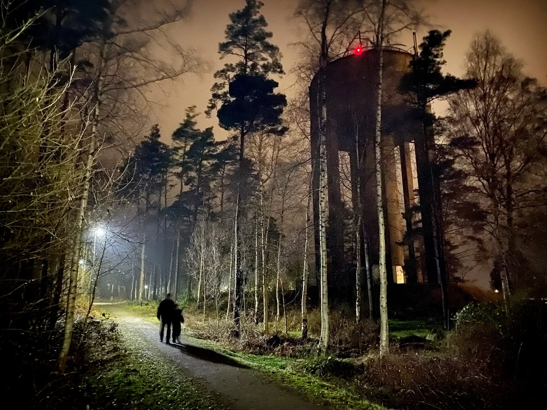 blogg-221221wiggensjulpromenad4.jpg
