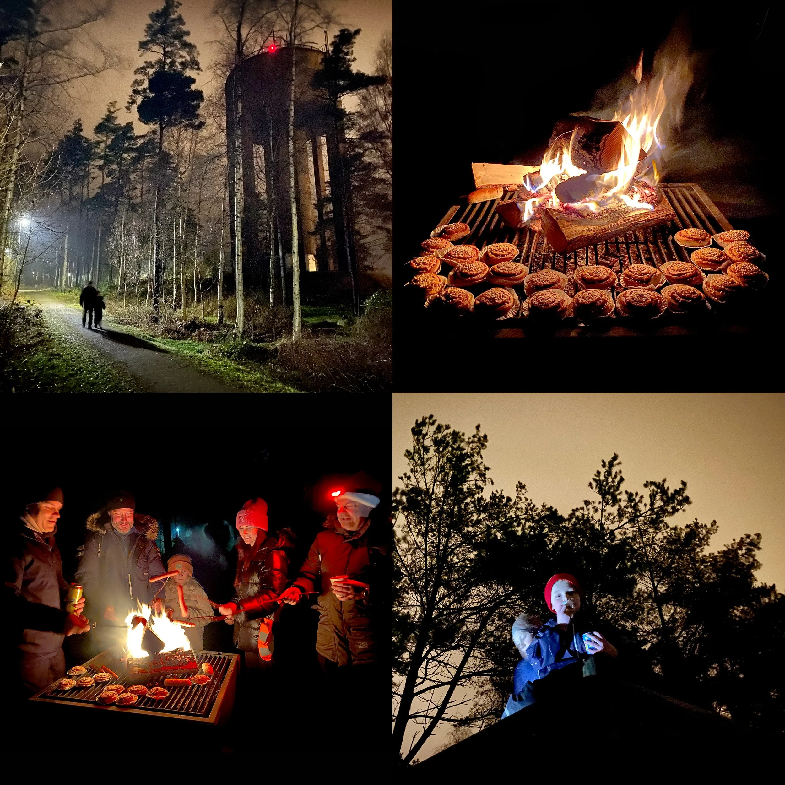 Wiggens julpromenad