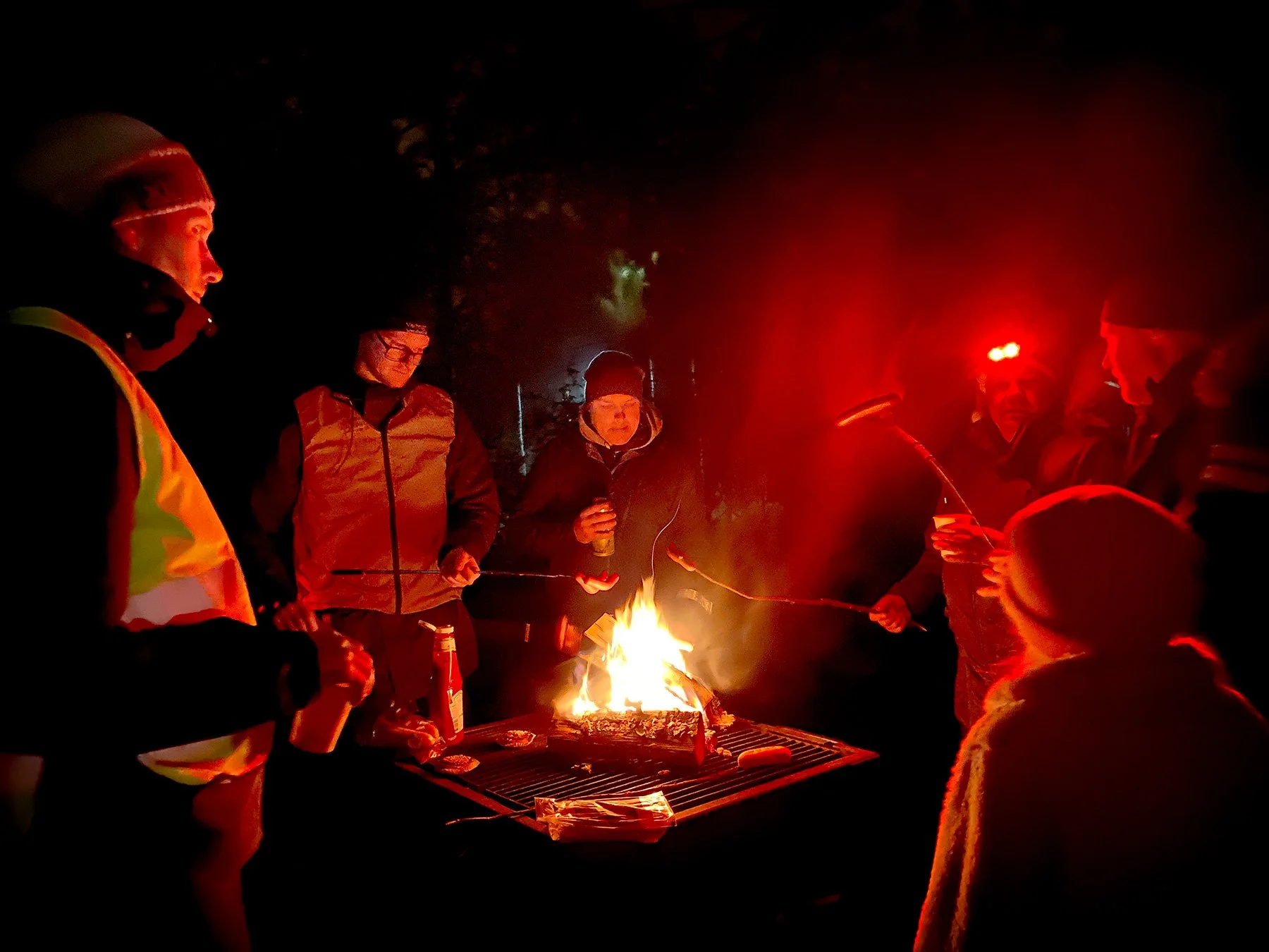 blogg-221221wiggensjulpromenadext4.jpg