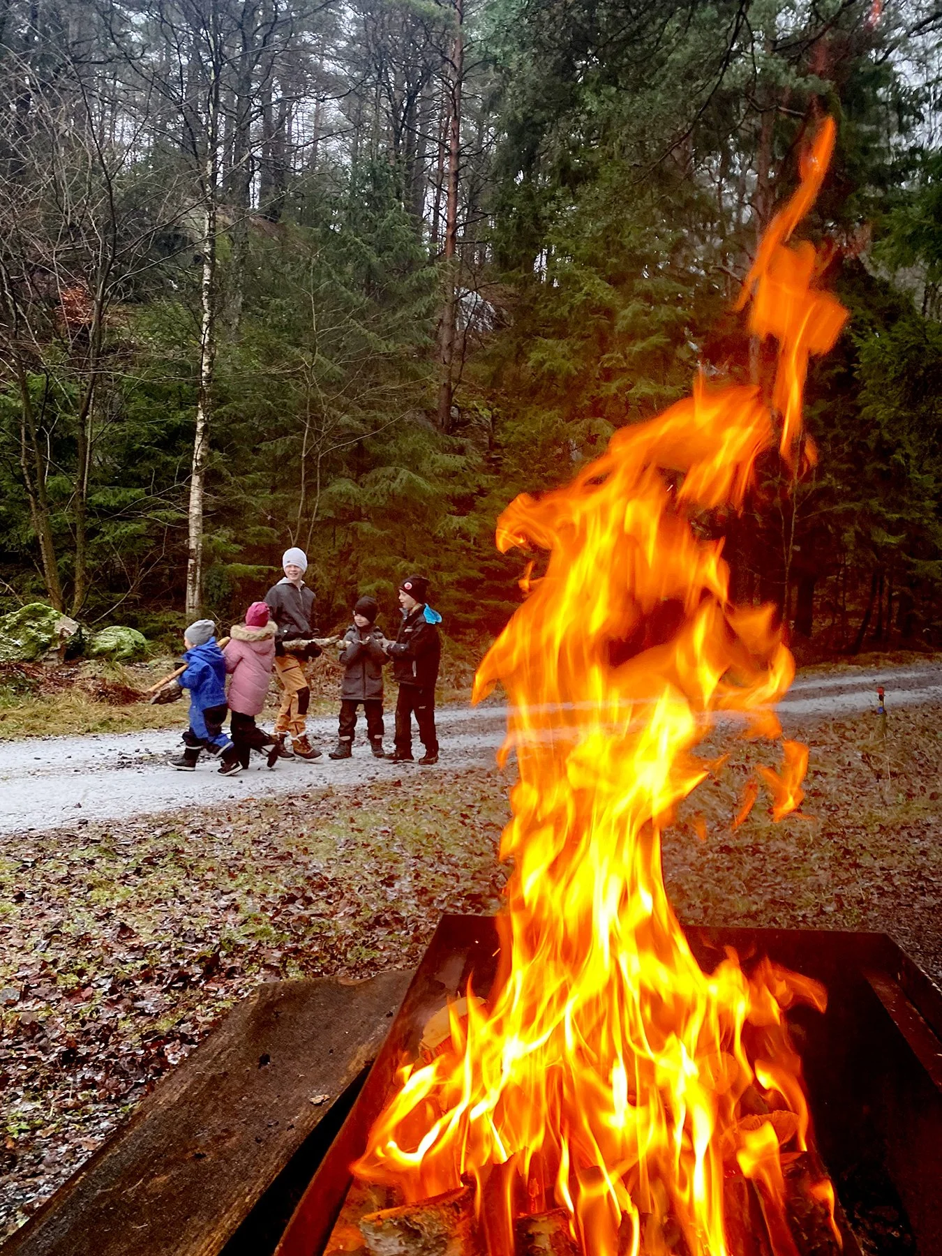 blogg-221225dranstugan1.jpg
