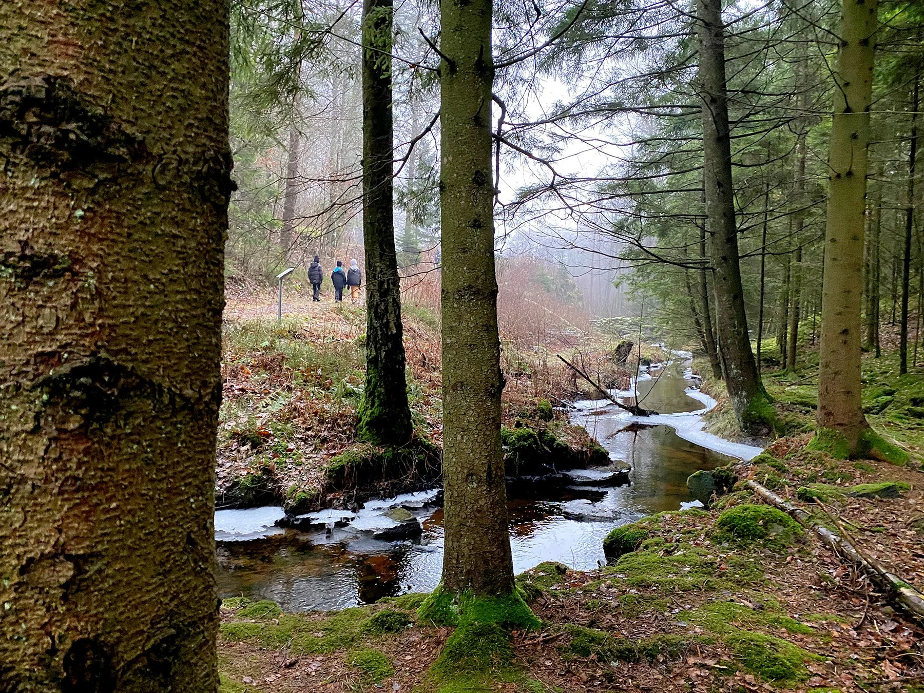 blogg-221225dranstugan8.jpg
