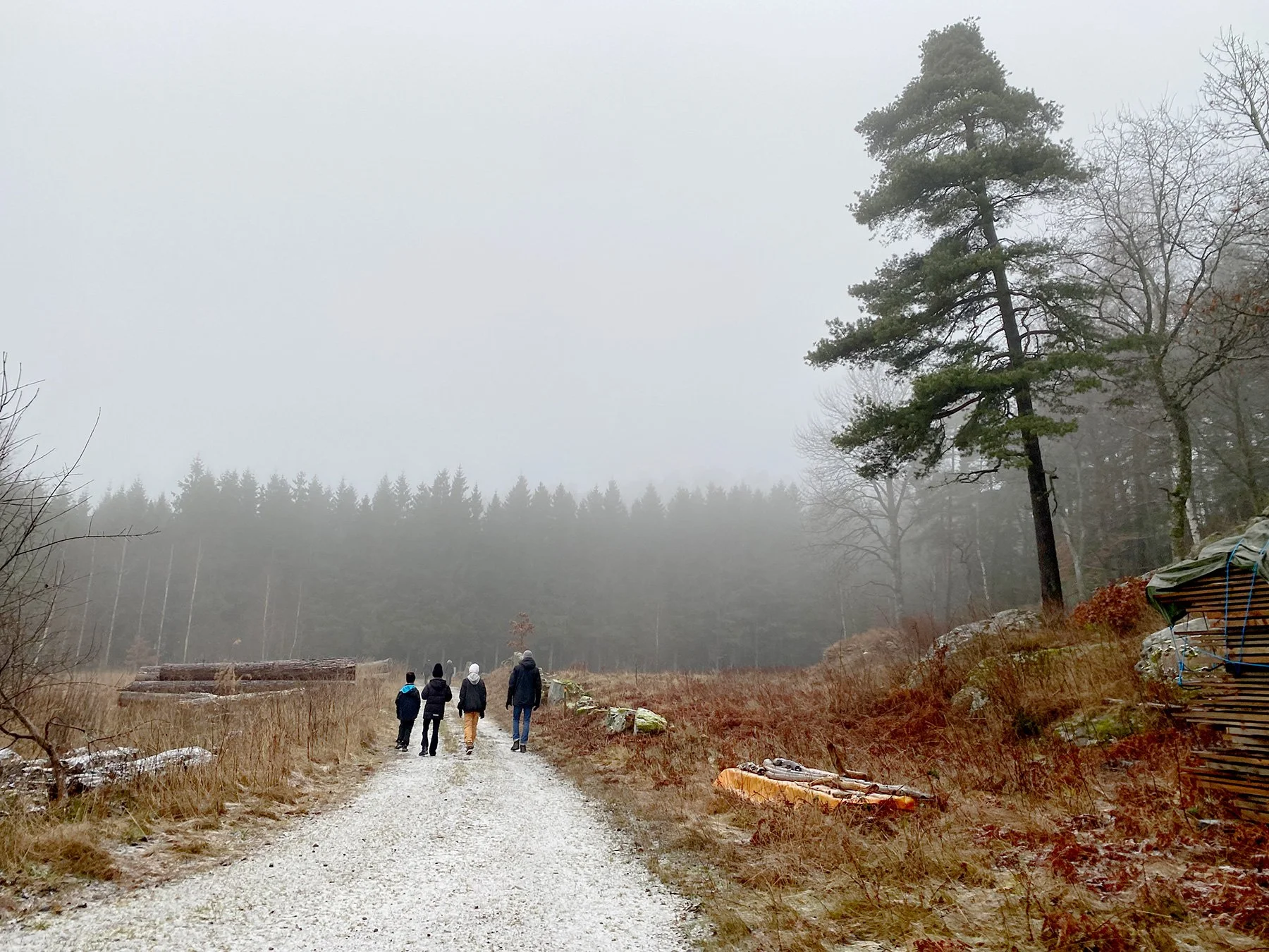 blogg-221225dranstugan12.jpg