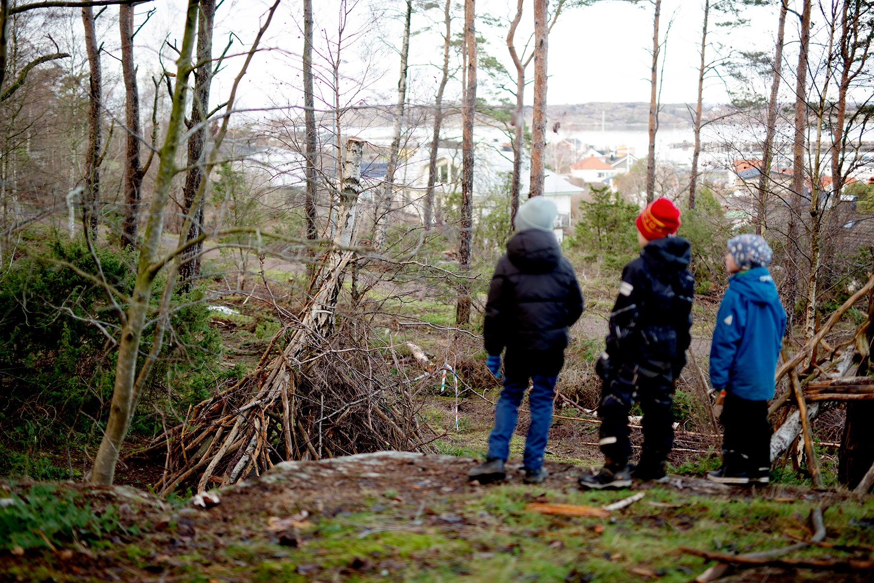 blogg-230103skogenericssons12.jpg