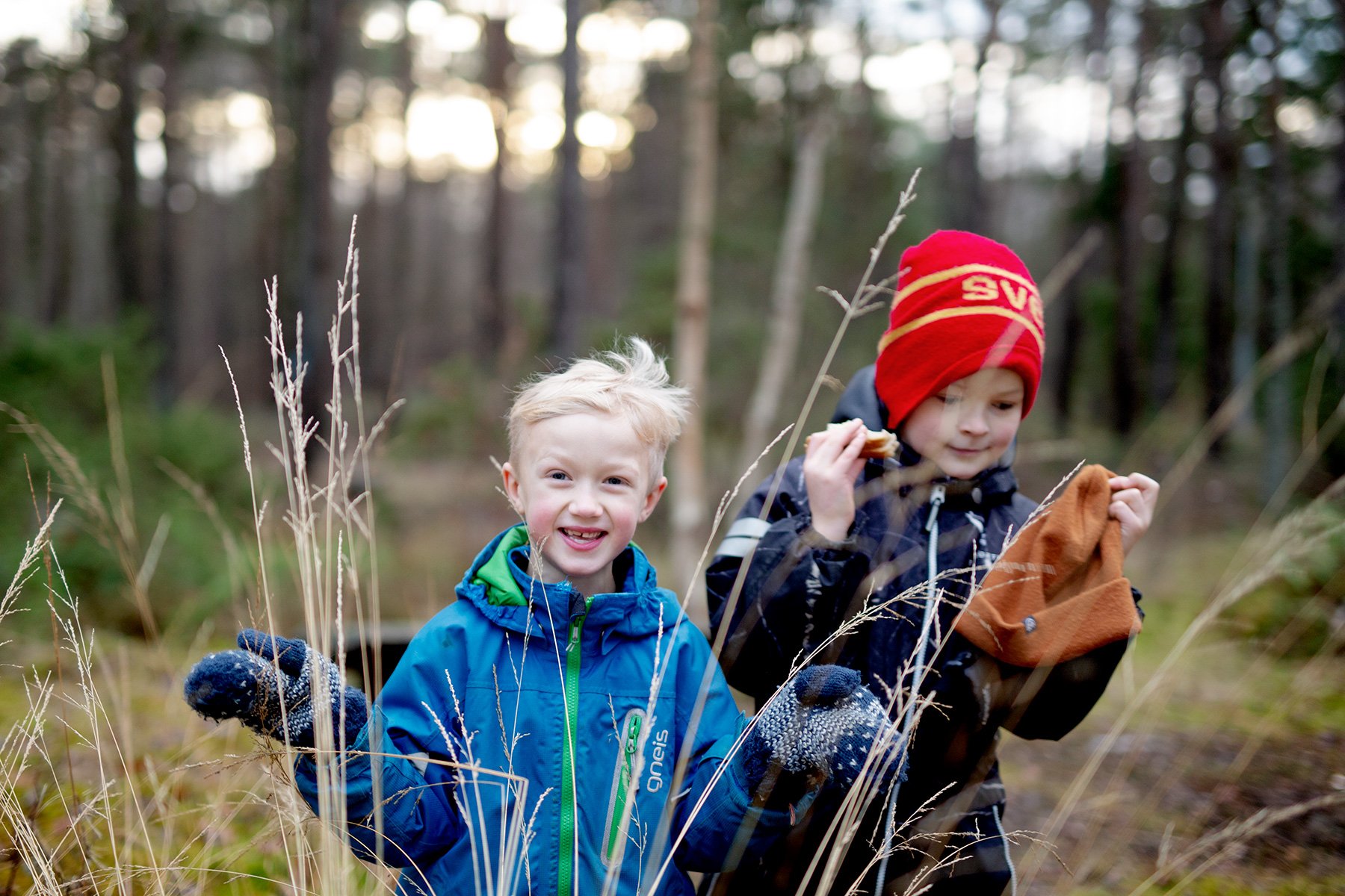 blogg-230103skogenericssons18.jpg