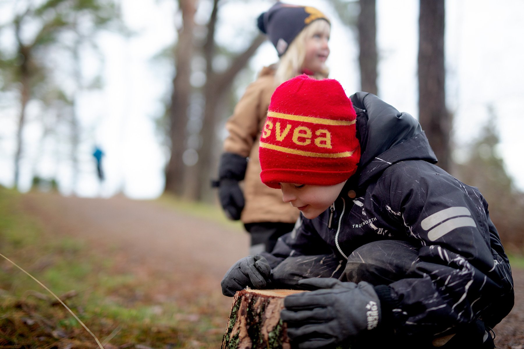 blogg-230103skogenericssons21.jpg