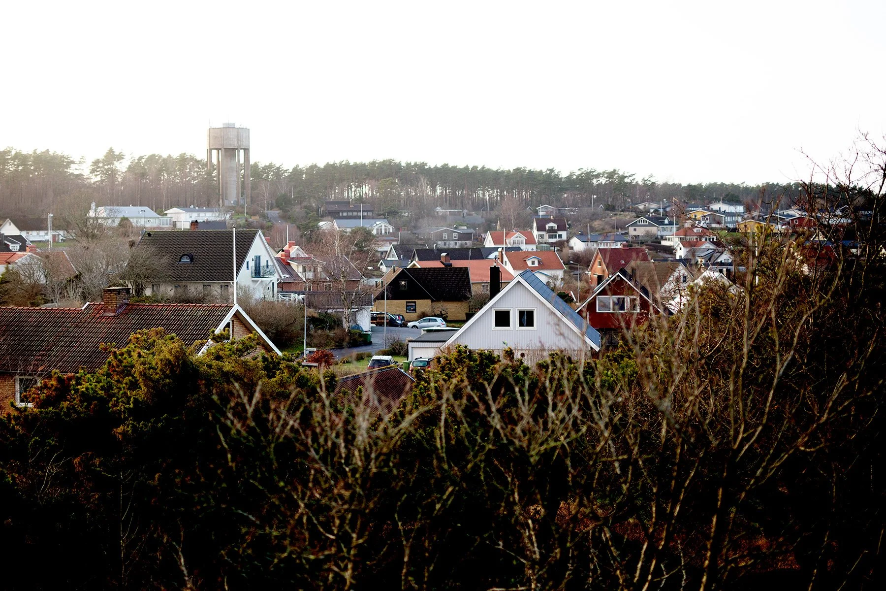 blogg-230110storaberget2.jpg