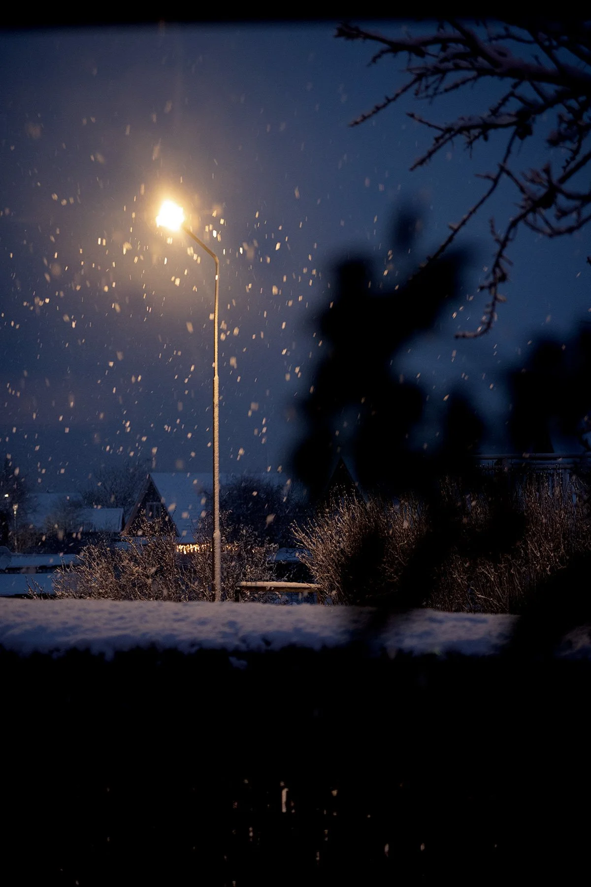 blogg-230203snomorgon8.jpg