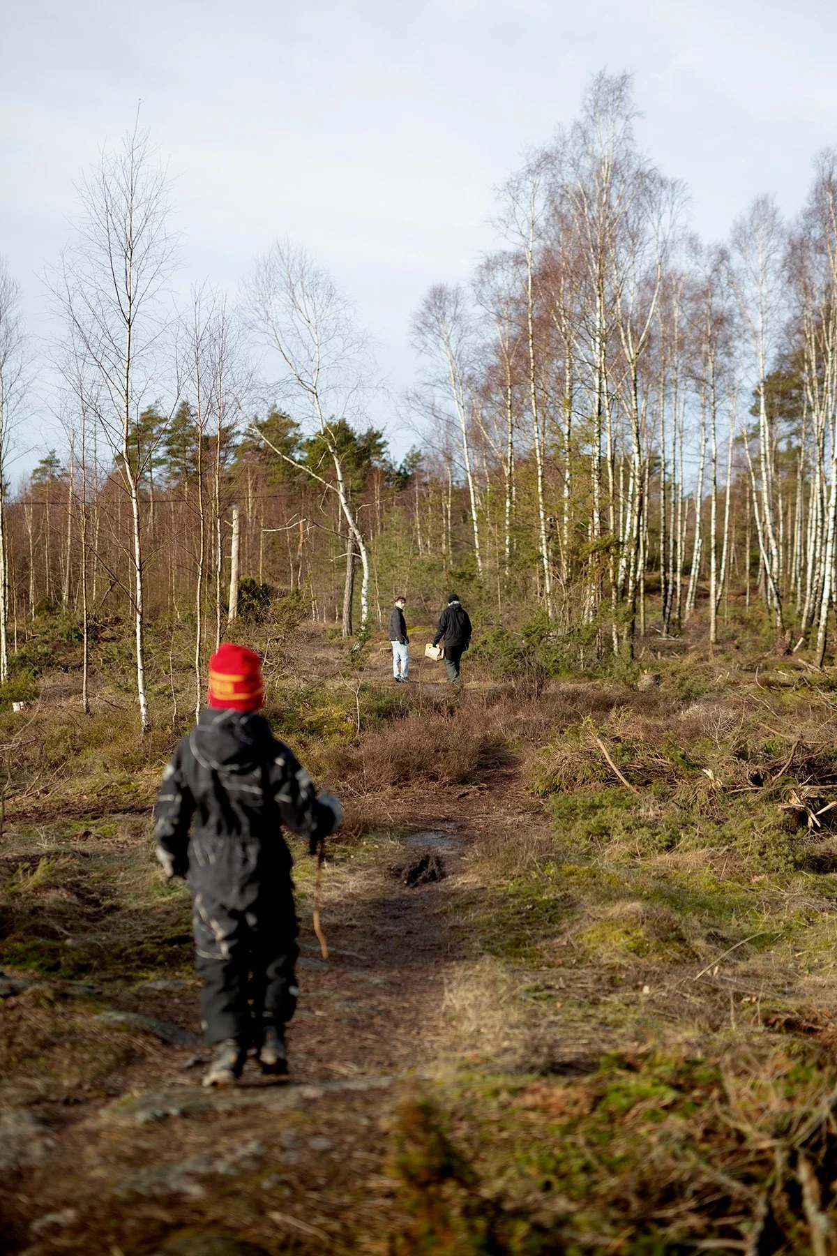 blogg-230211vindskyddetelda3.jpg