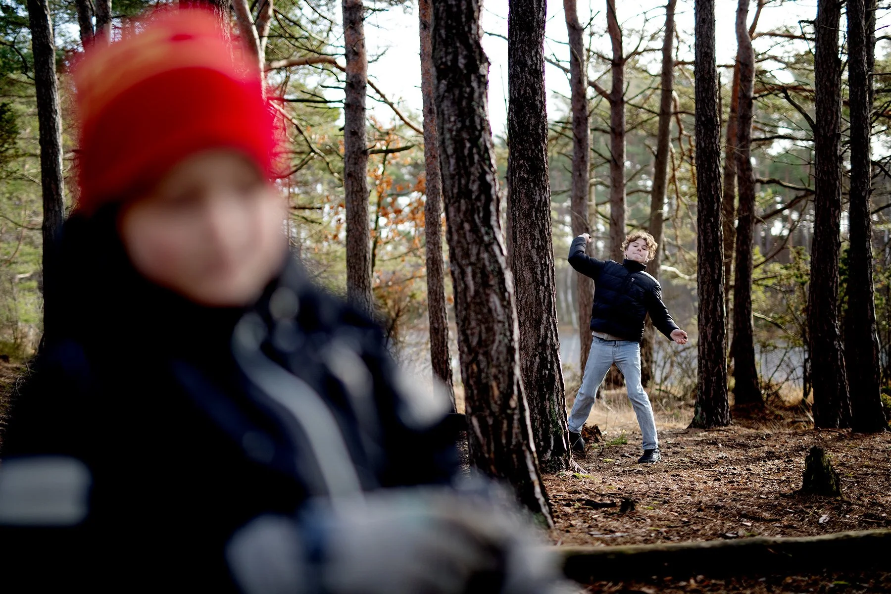 blogg-230211vindskyddetelda18.jpg