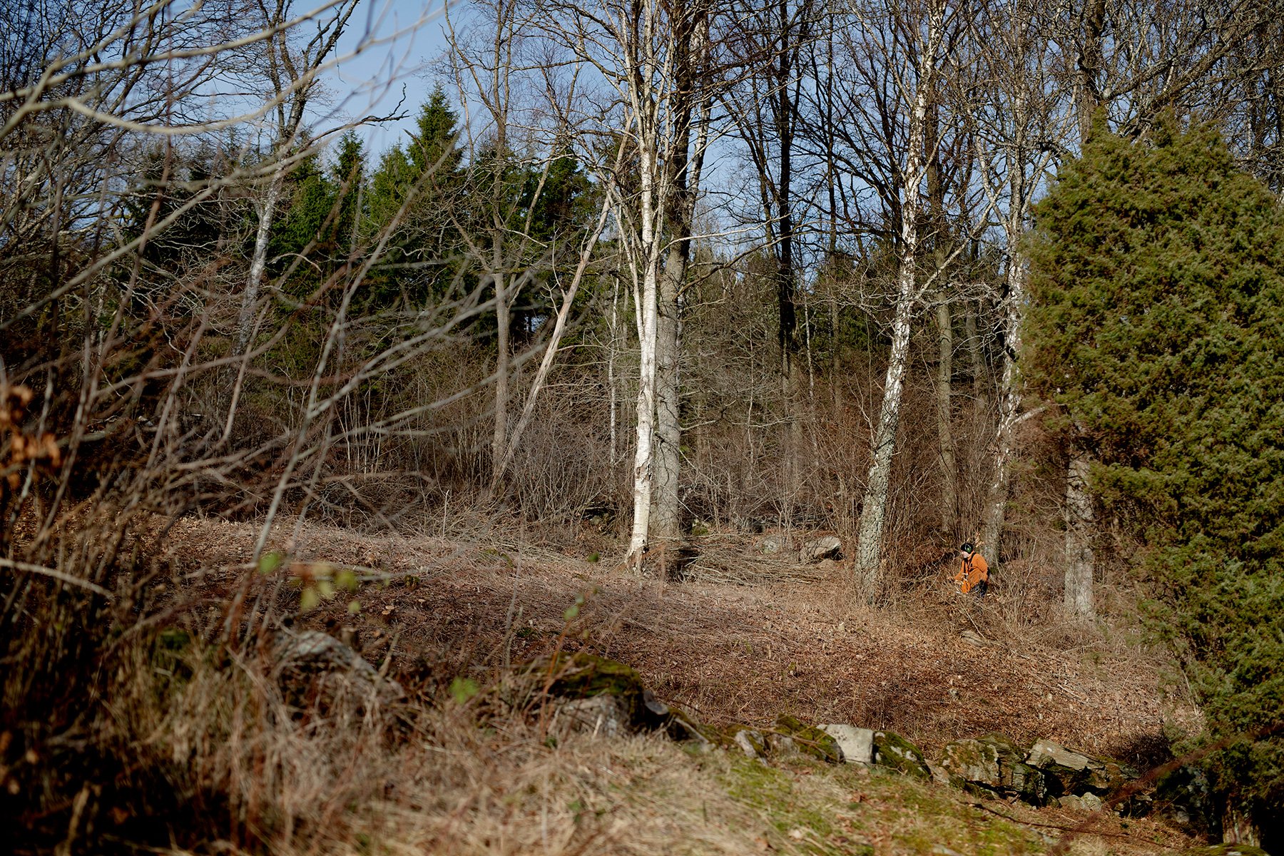 blogg-230211rojaslyambjorntorp1.jpg