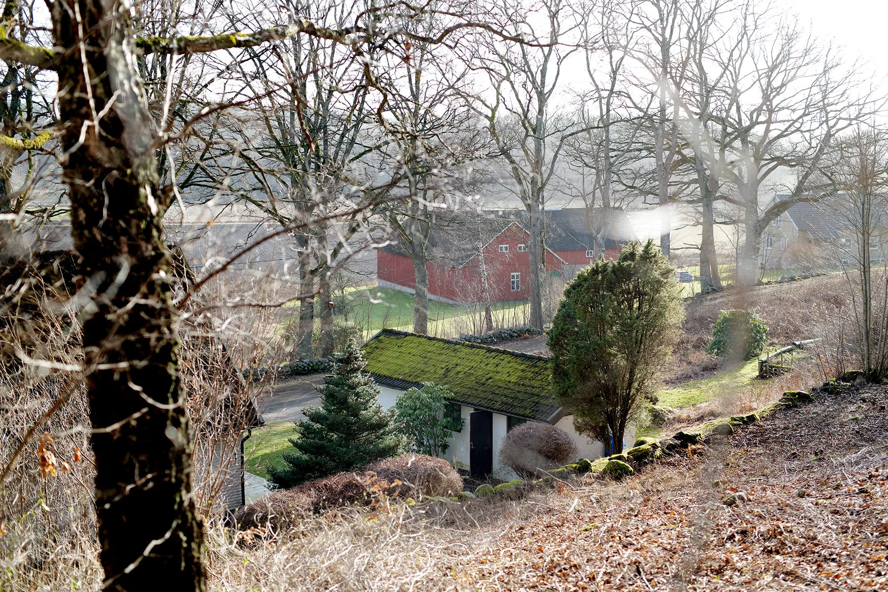 blogg-230211rojaslyambjorntorp4.jpg