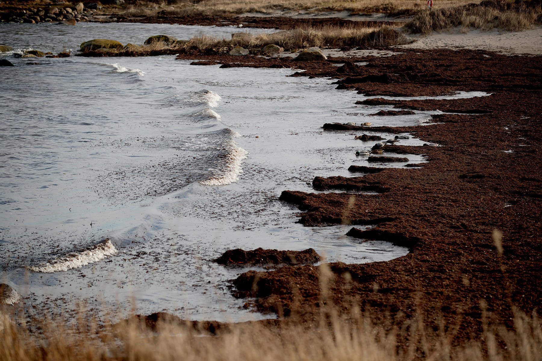 blogg-230218fyrenpromenad1.jpg
