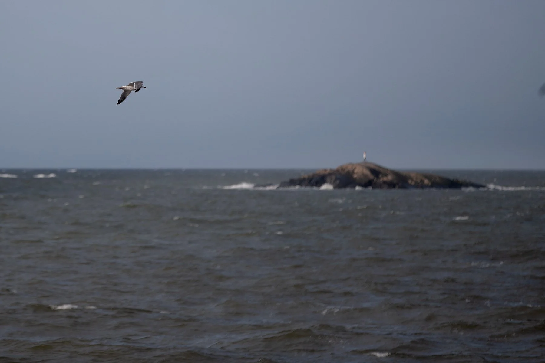 blogg-230218fyrenpromenad9.jpg