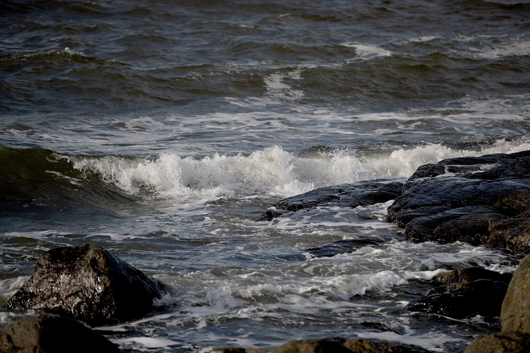 blogg-230218fyrenpromenad11.jpg