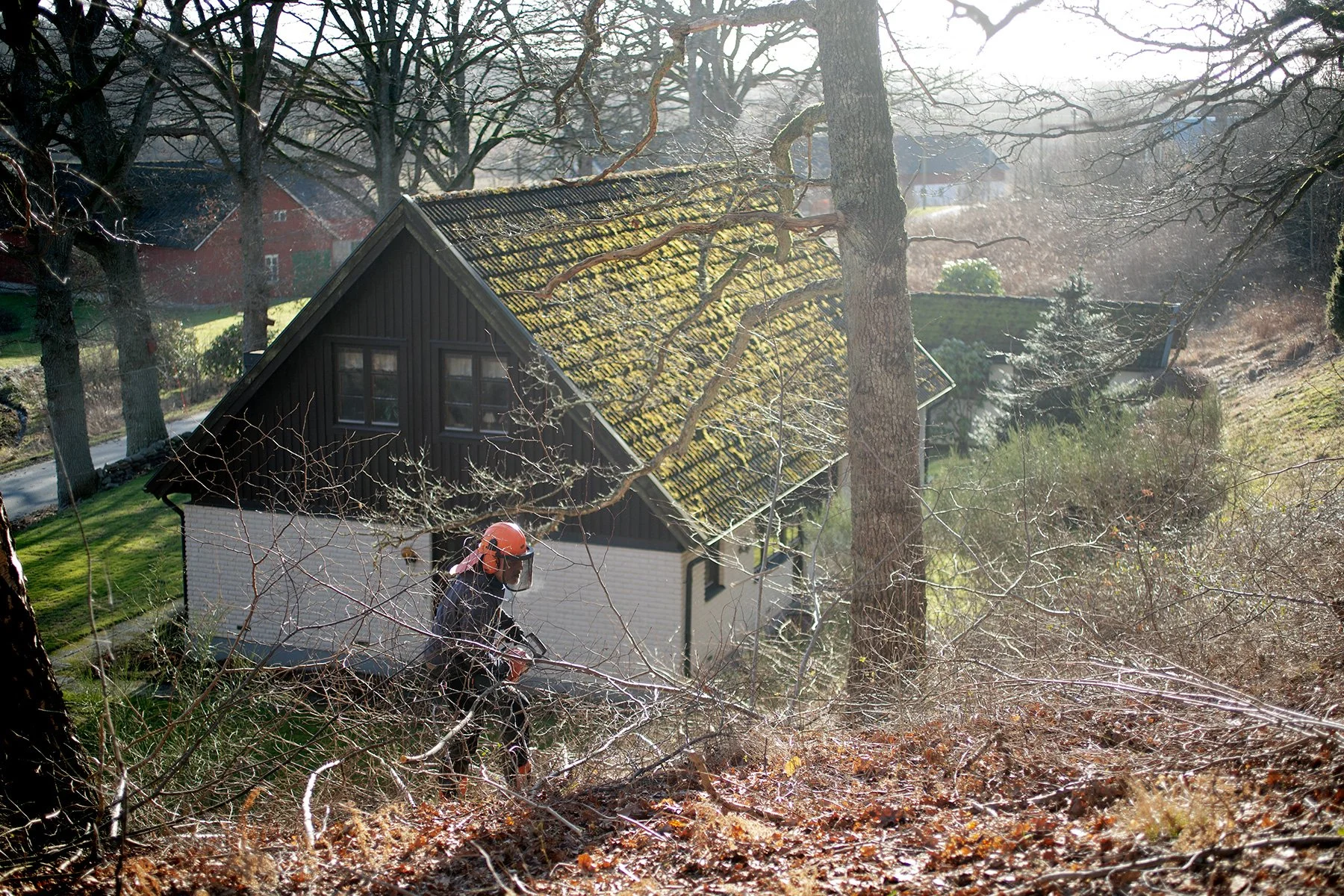 blogg-230218rojaslyambjorntorp1.jpg