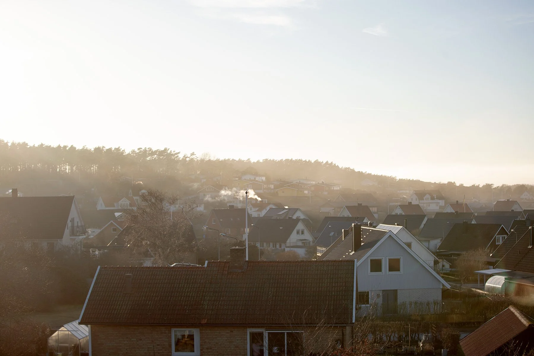 blogg-230228bertilalvaameliapicknick6.jpg